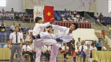 Trao 84 bộ huy chương tại giải Vô địch Karatedo tỉnh Nghệ An năm 2017