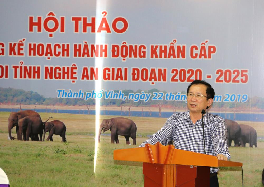 Đồng chí Đinh Viết Hồng - Phó Chủ tịch UBND tỉnh phát biểu nhấn mạnh ý nghĩa thiết thực của hội thảo bảo tồn khẩn cấp đàn voi tại Nghệ An. Ảnh: Nguyễn Hải