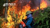 ­Đằng sau những vụ cháy rừng ở Nghệ An