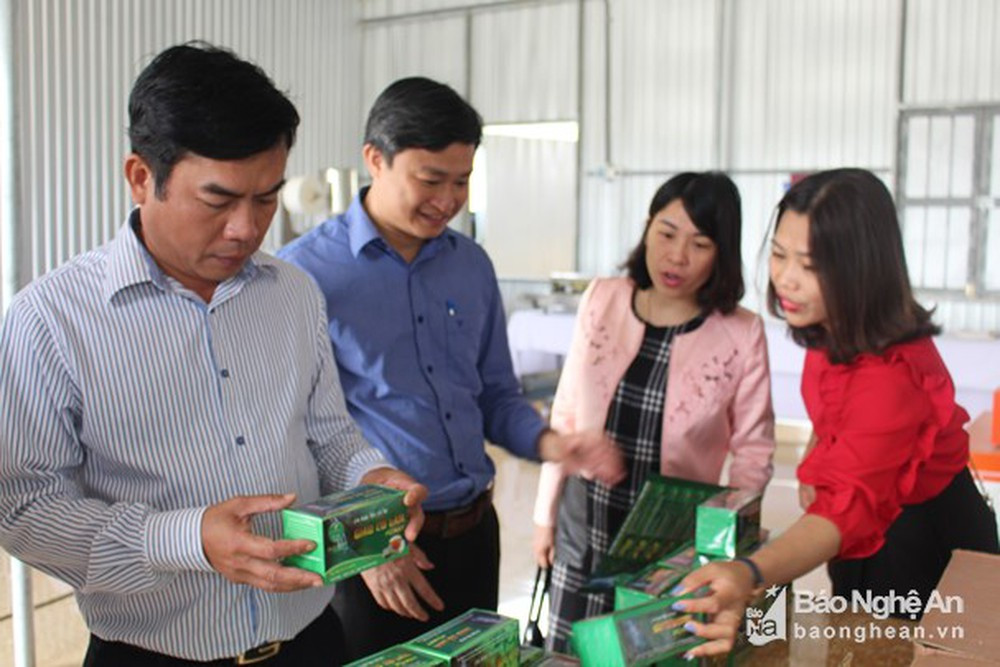 Nghiên cứu và ứng dụng tạo ra sản phẩm dược liệu hàng hóa ở Nghệ An. Ảnh tư liệu