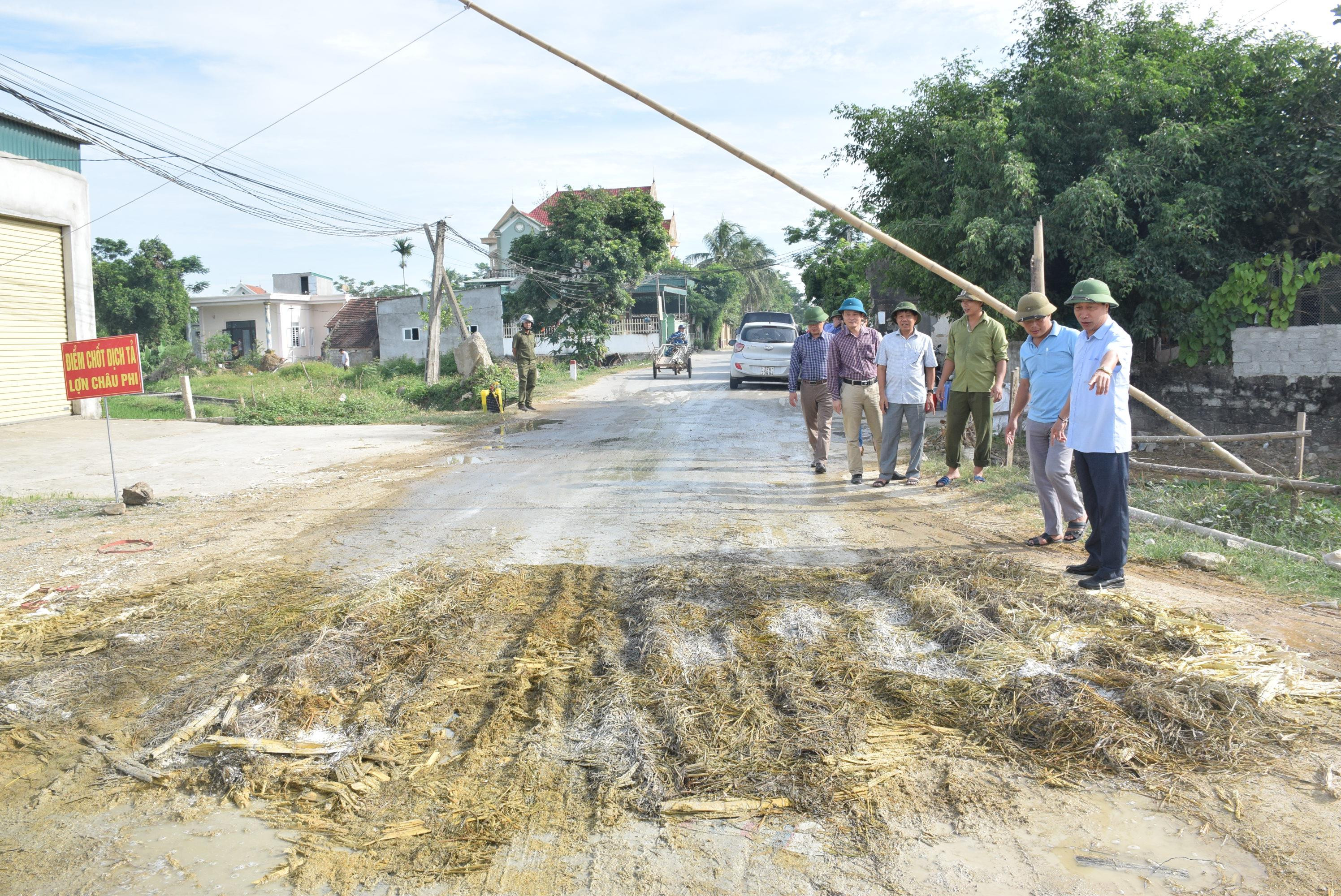 Ban chỉ đạo phòng chống dịch tả lợn châu Phi tỉnh kiểm tra công tác phòng chống dịch trên địa bàn huyện Yên Thành. Ảnh: Xuân Hoàng