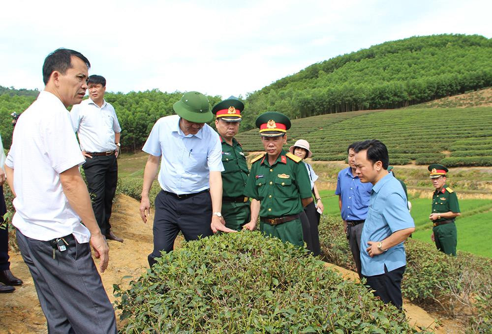 Đoàn công tác tham quan mô hình trồng chè của gia đình ông Lương Văn Phượng xã Ngọc Lâm. Ảnh Phú Hương