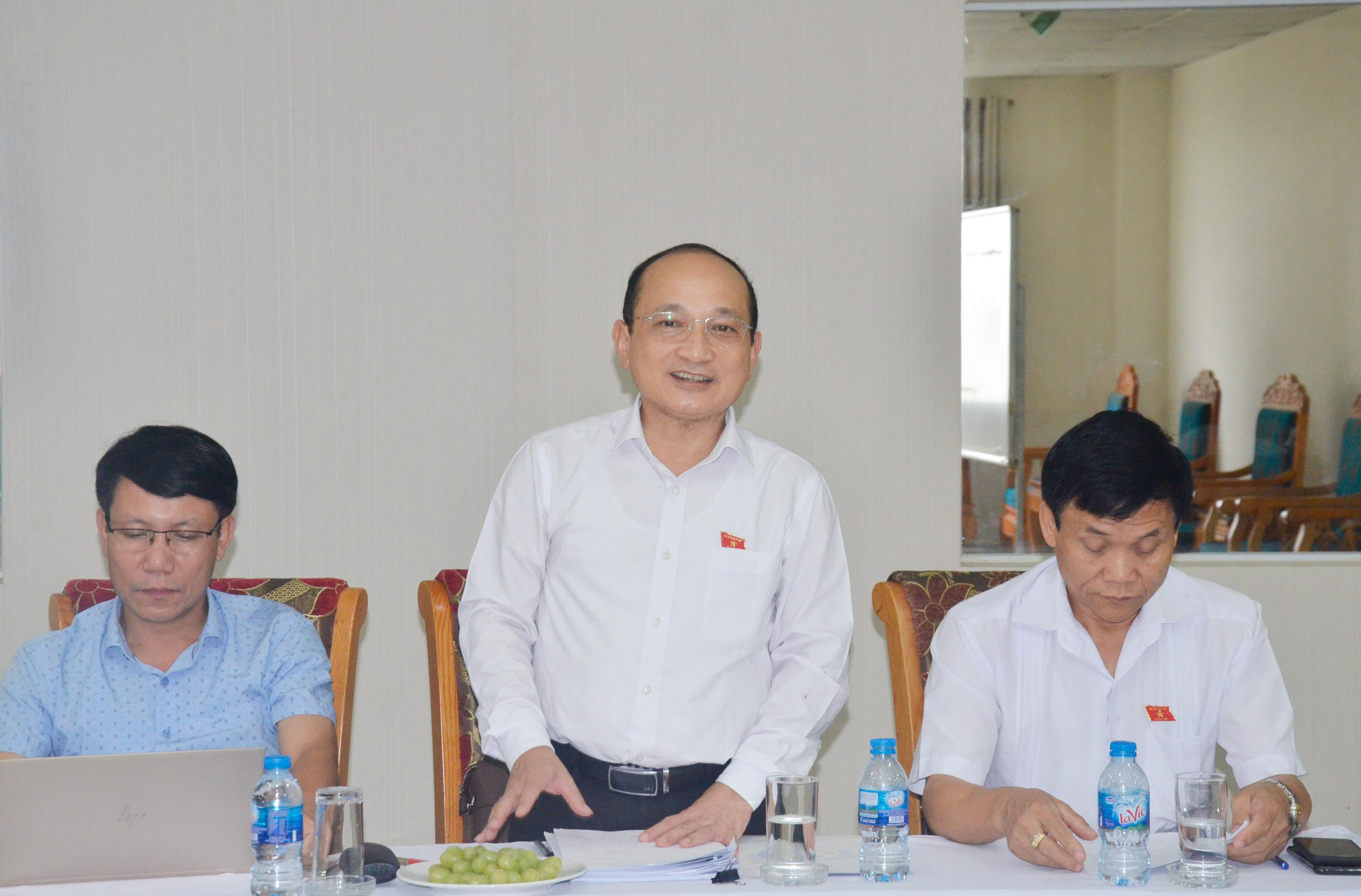 Phó Trưởng đoàn ĐBQH tỉnh Nguyễn Thanh Hiền phát biểu tại cuộc làm việc. Ảnh: Thanh Lê