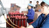 Công ty CP thủy sản Vạn Phần Diễn Châu: 70 năm phát triển vững mạnh
