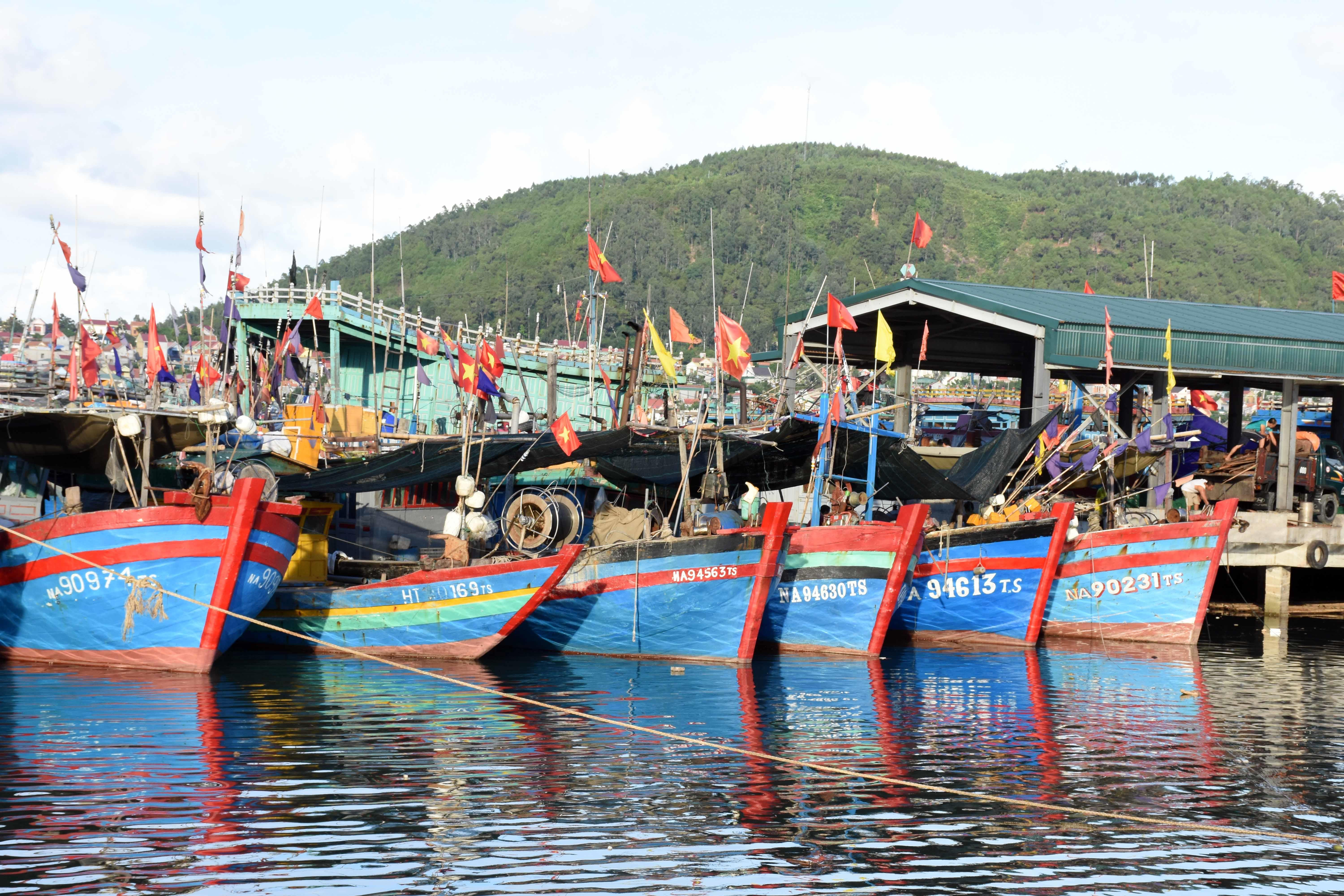 Tàu cá của ngư dân thị xã Hoàng Mai đã neo đậu tại các cảng cá, lạch để tránh trú bão. Ảnh: Thanh Yên 
