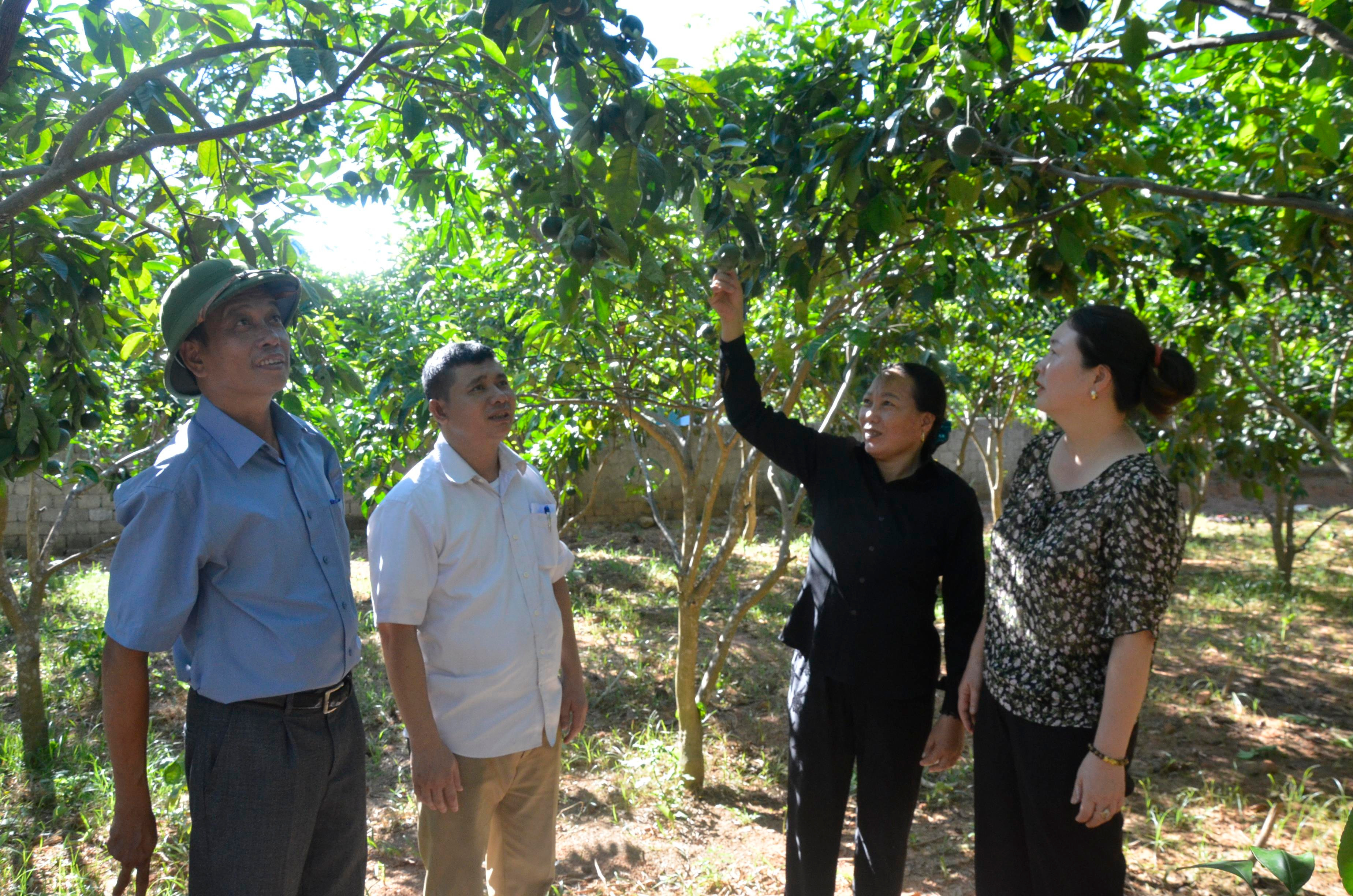 Các đảng viên Chi bộ xóm Tân Lập xã Nghĩa Lộc (Nghĩa Đàn) tham quan mô hình phát triển kinh tế của người dân. Ảnh: Thanh Lê