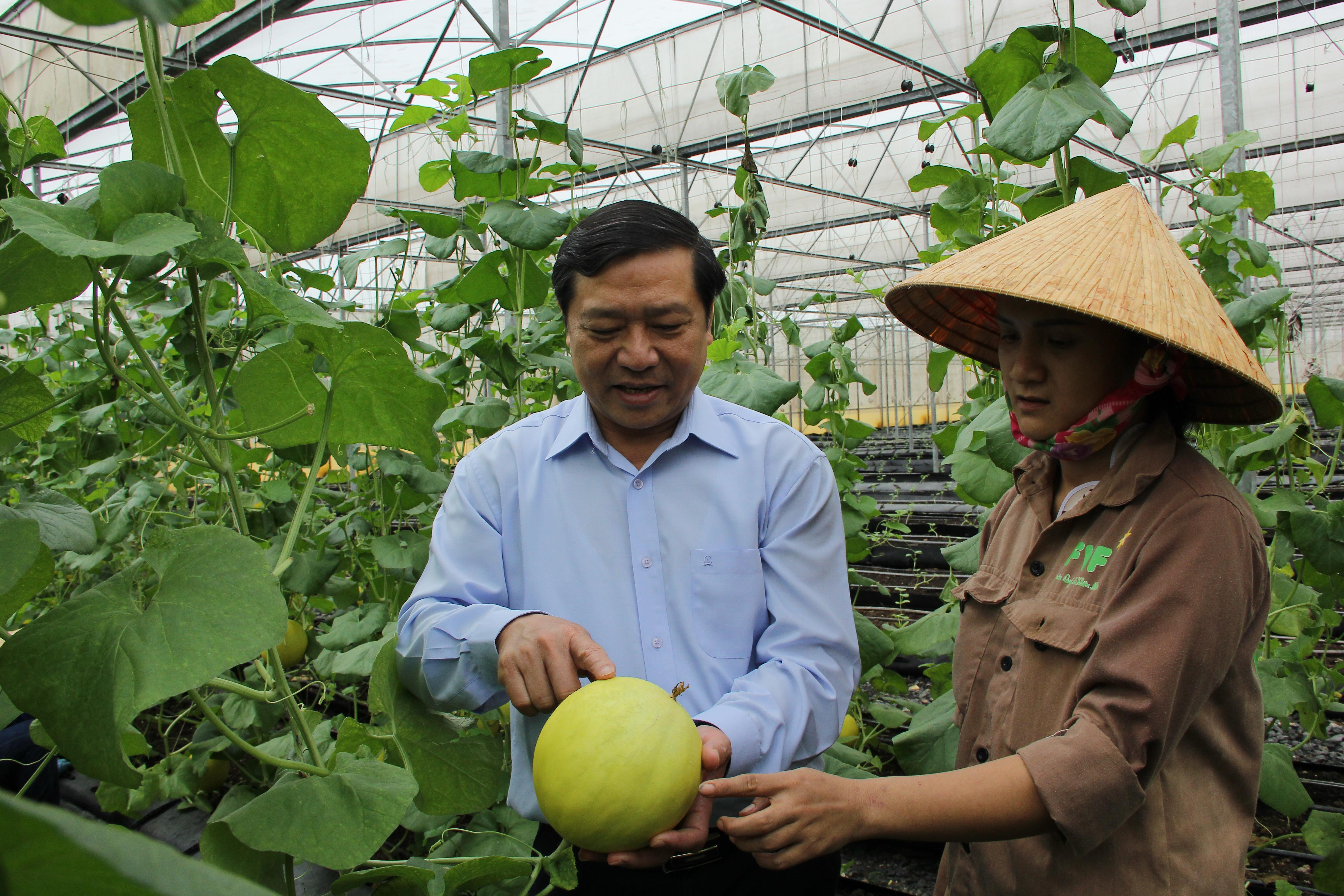 Bí thư Tỉnh ủy Cao Bằng Lại Xuân Môn tham quan trang trại rau quả sạch của Tập đoàn TH. Ảnh: Mỹ Nga 