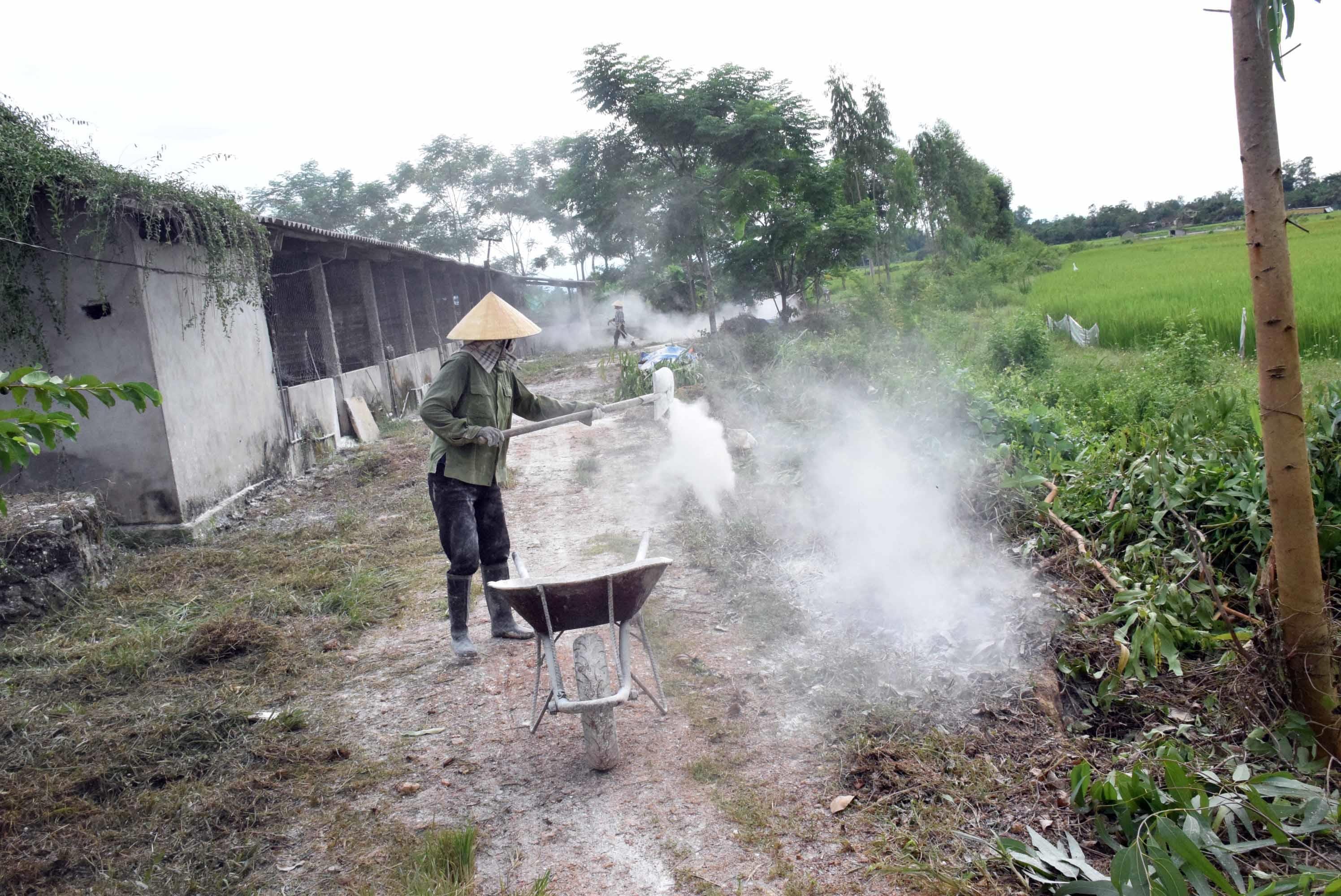 sau khi tieeu hủy heets lợn, gia đình ông Nguyễn Cảnh Năm thuê nhân công phát quang khu cực trại lợn, đồng thời rắc vôi bột và phun tiêu độc khử trùng. Ảnh: Xuân Hoàng