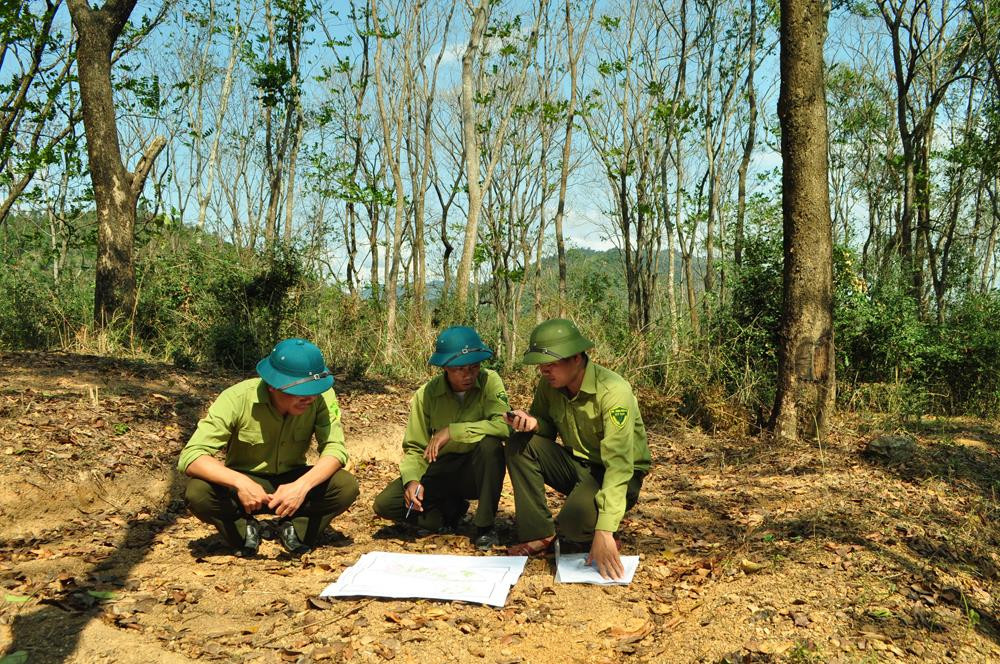 Cán bộ Kiểm lâm kiểm tra thực địa rà soát với bản đồ quy hoạch để tiến hành giao đất giao rừng cho dân. Ảnh: Nguyễn Hải