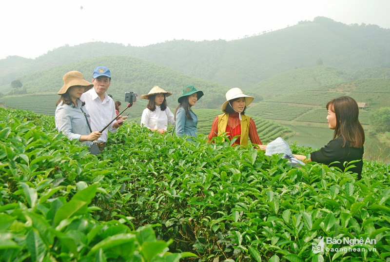 Mô hinh du lịch canh nông ở Nghệ An. Ảnh Tư liệu