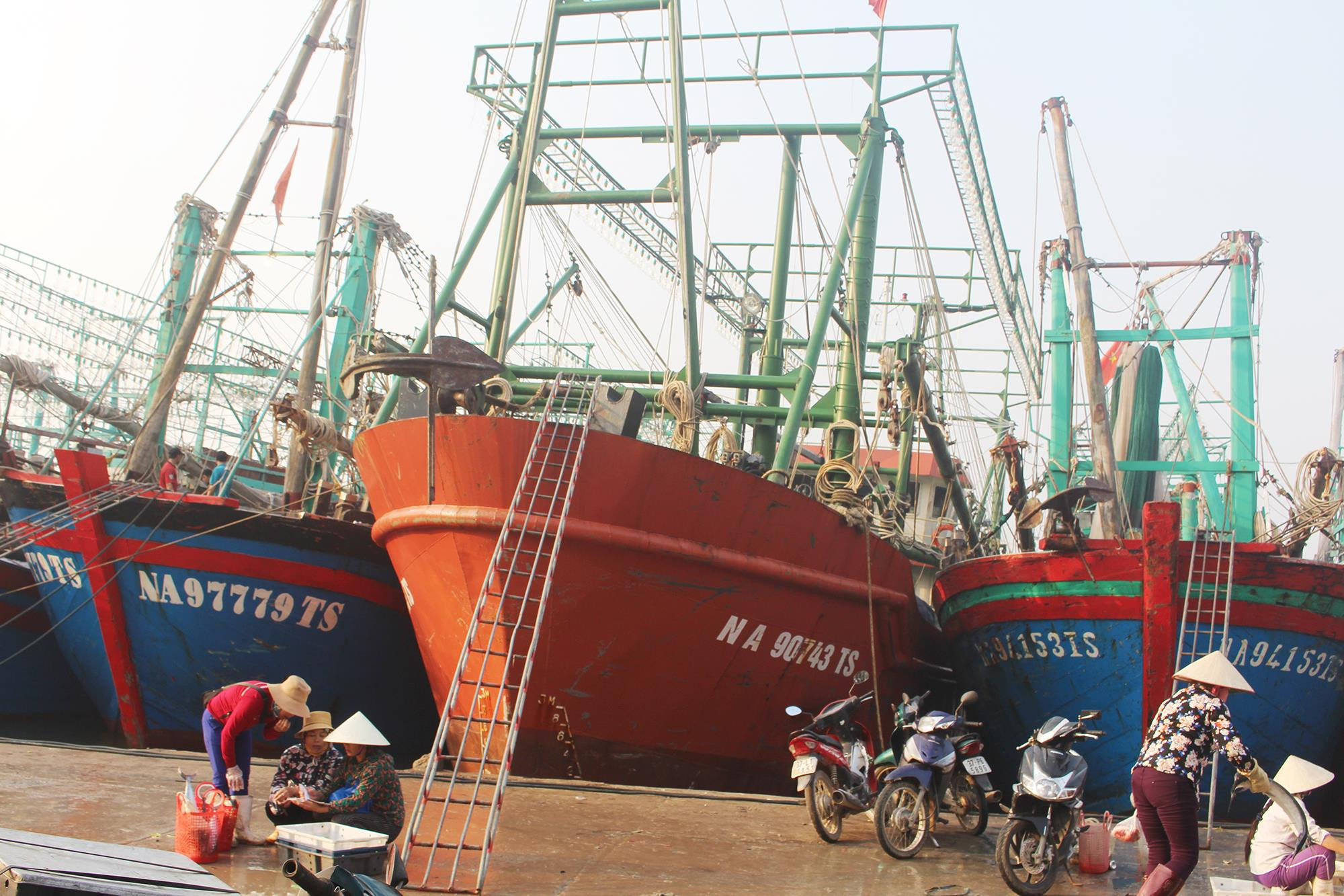 Toàn huyện Quỳnh Lưu hiện có 40 tàu đóng đóng theo NĐ 67; từ năm 2018 đến nay, ngư dân thuê thêm 8 tàu 67 ở một số địa phương khác về đi khai thác và cho hiệu quả cao.