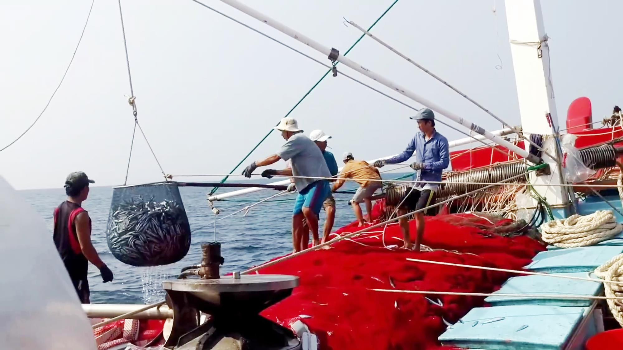Những chuyến vươn khơi đánh bắt trúng đậm hải sản giúp ngư dân có nguồn thu nhập, trong khi đó chủ tàu cá 67 cũng có tiền trả nợ ngân hàng. Ảnh: Việt Hùng