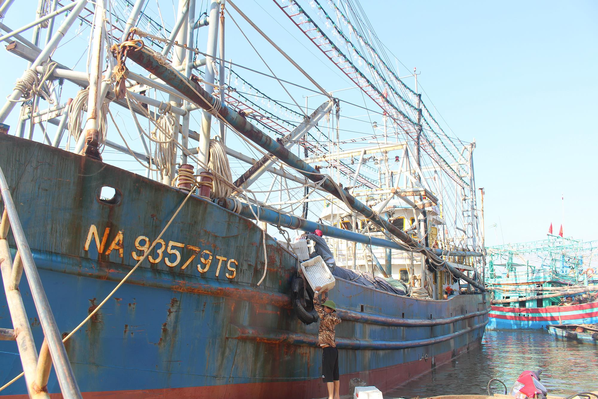 Sau khi tàu được thuê về, ngư dân Quỳnh Lưu (Nghệ An) chuyển đổi nghề và khai thác có hiệu quả trên những con tàu sắt (tàu NĐ 67 của Chính phủ). Ảnh: Việt Hùng