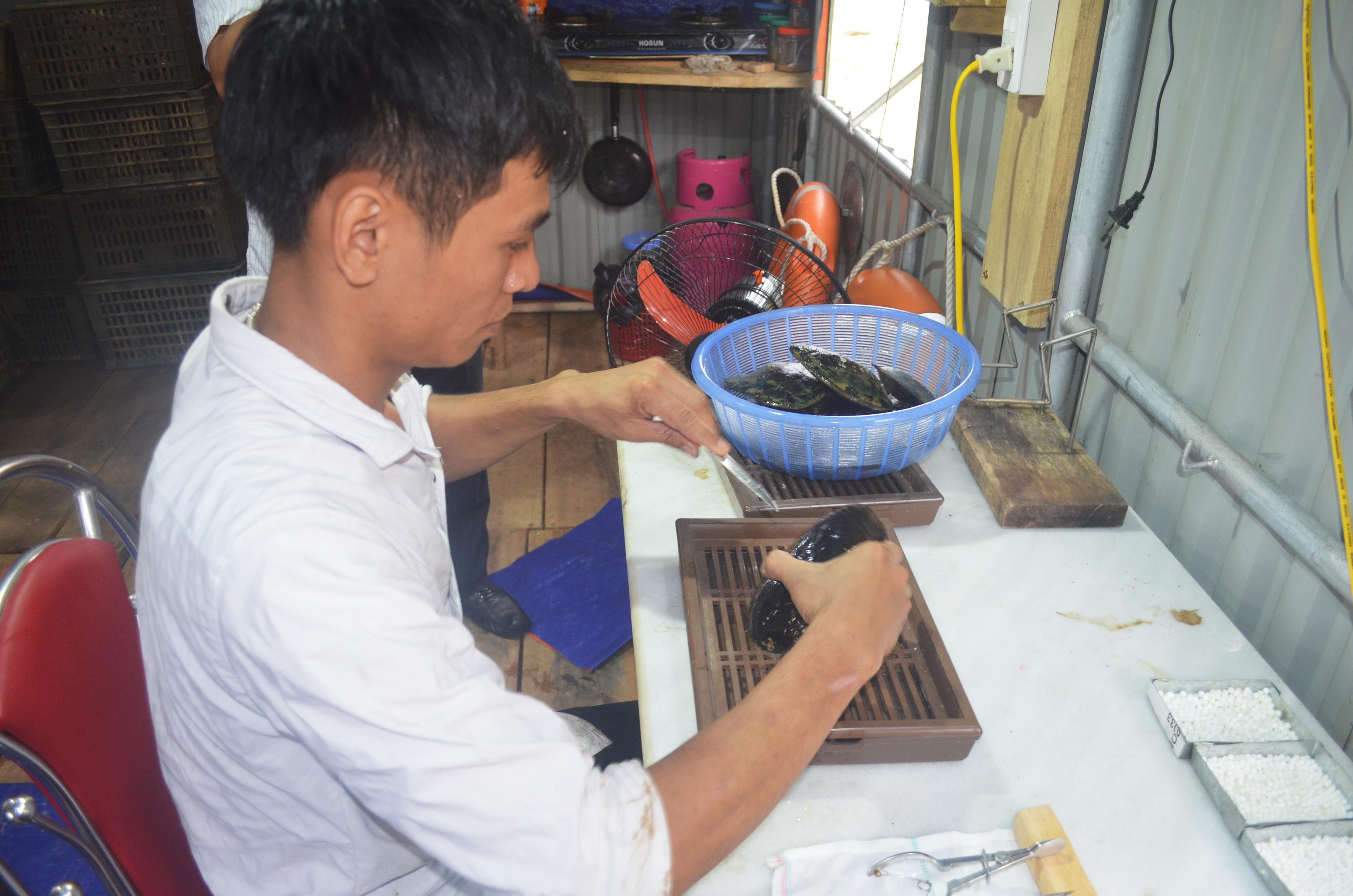 Lữ Văn Hùng thực hiện việc tách trai, lấy ngọc. Ảnh: Nhật Lân