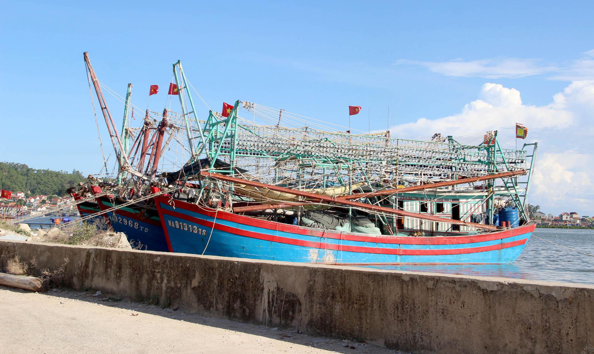 Một số tàu thuyền tại Hoàng Mai giảm tần suất đi biển vì không có lãi do giá hải sản bị giảm sút. Ảnh: Quang An