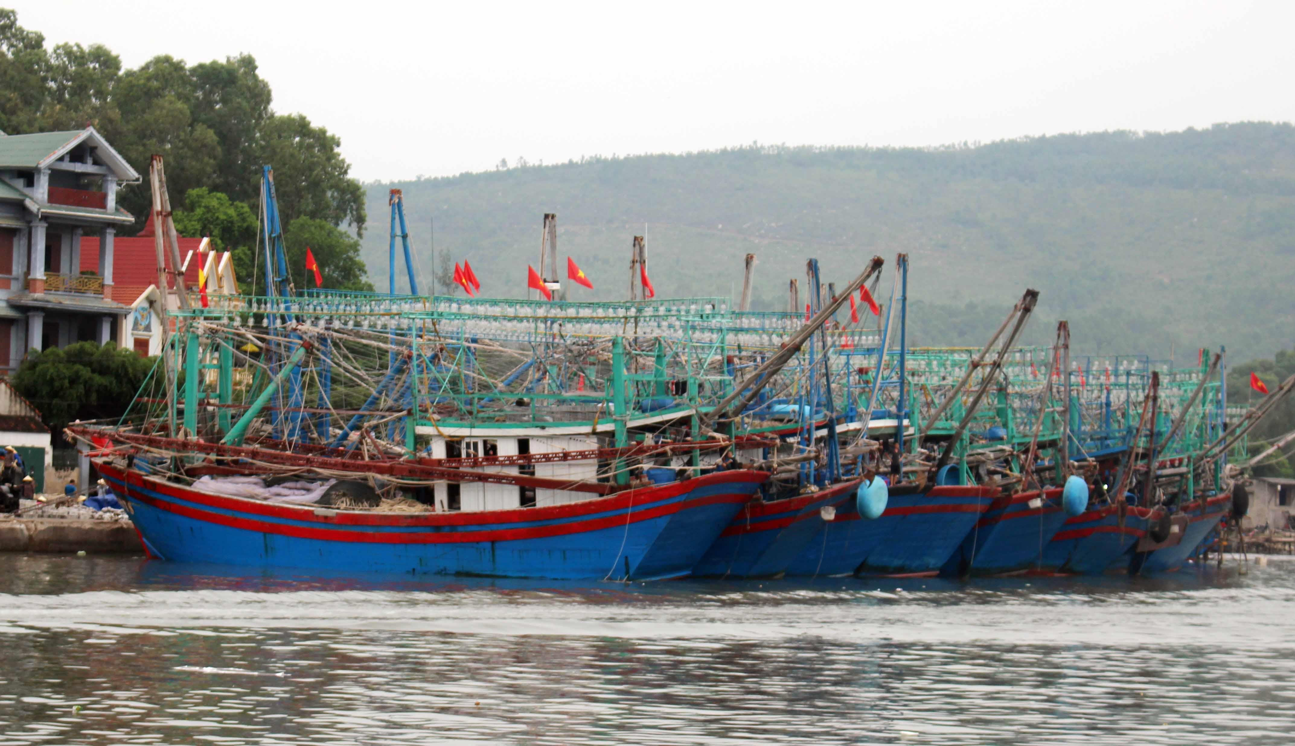 Đến chiều 28/8, Quỳnh Lưu đã có ..... tàu thuyền về neo đậu an toàn. Ảnh: Việt Hùng