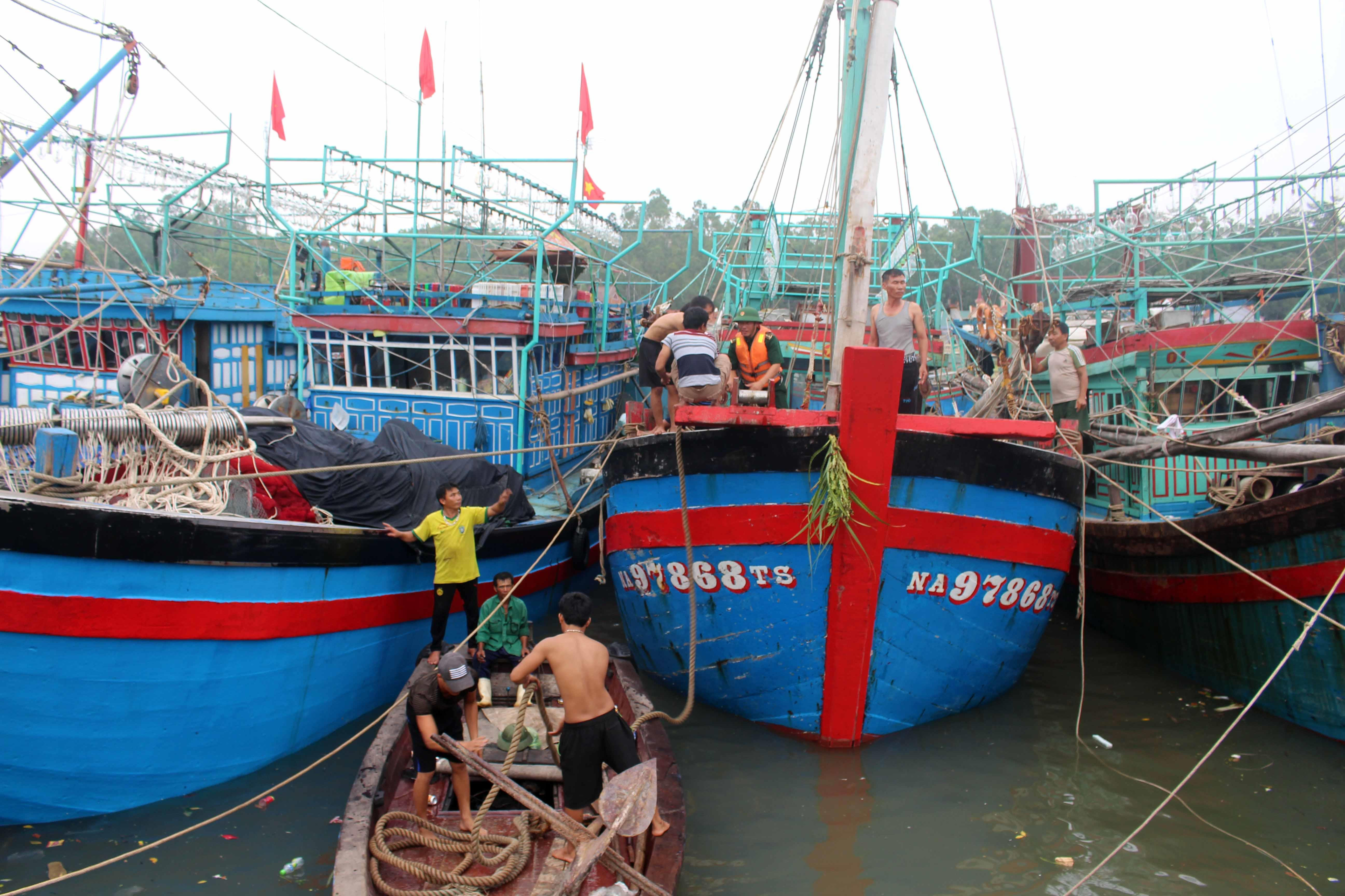 Ngư dân Quỳnh Lưu neo đậu tàu thuyền vào vị trí an toàn để tránh bão số 4. Ảnh: Việt Hùng