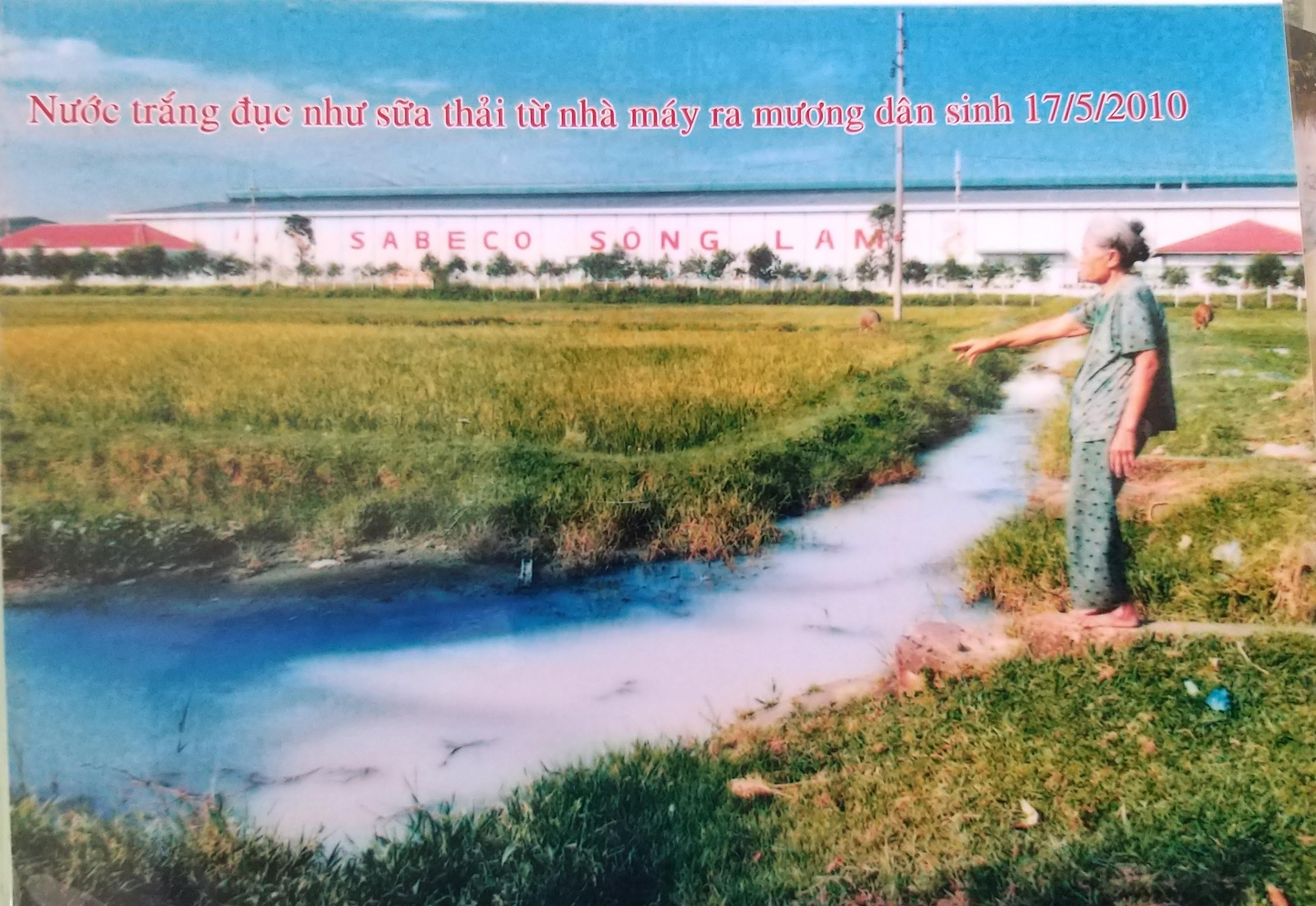 Nước thải của Công ty CP bao bì Sabeco Sông Lam thải ra ruộng lúa của người dân có màu trắng đục. Ảnh chụp ngày 15/7/2010.