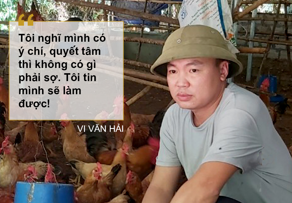 Vi văn Hải