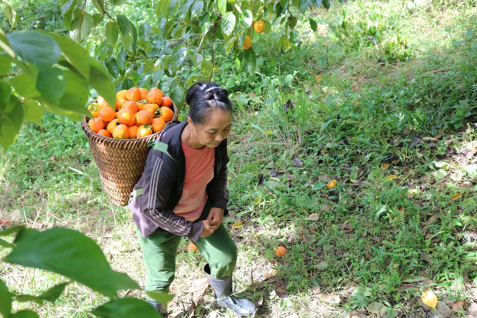 Hồng được các chị các mẹ gùy đầy bế về nhà. Ảnh: Lữ Phú