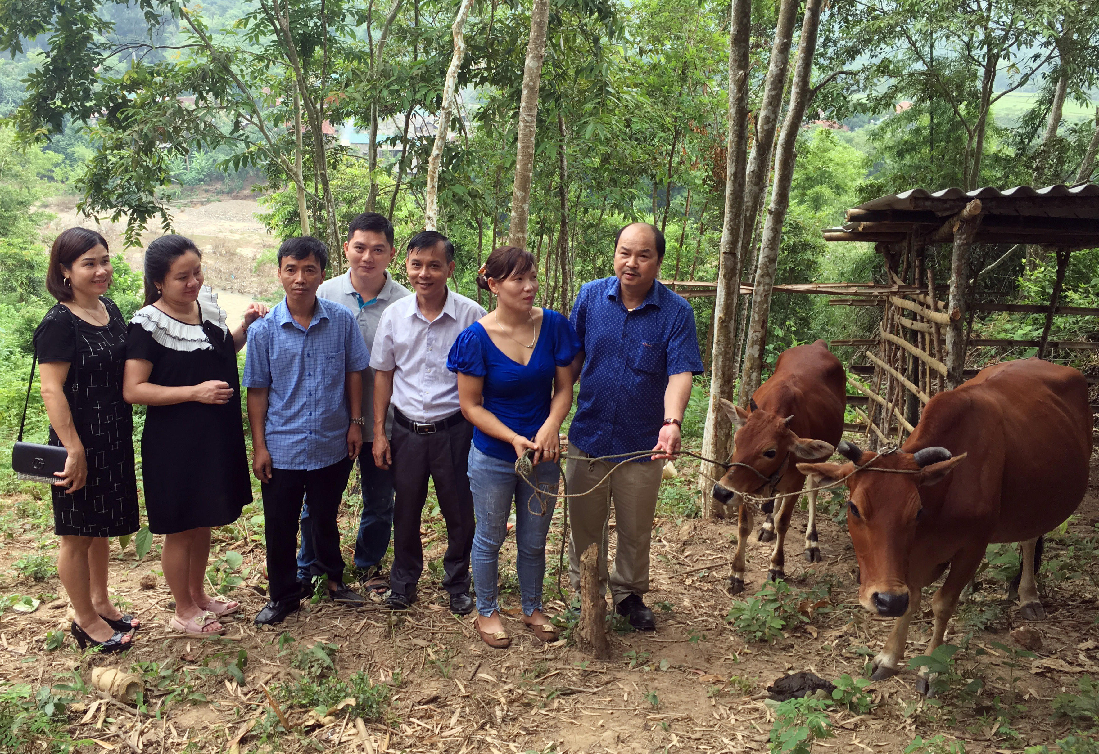 đại diện Chi bộ Tài chính – Kế hoạch UBND huyện trao 2 con bò giống cho gia đình chị Vi Thị My bản Na Chảo xã Hữu Kiệm. Ảnh: Duy Khánh