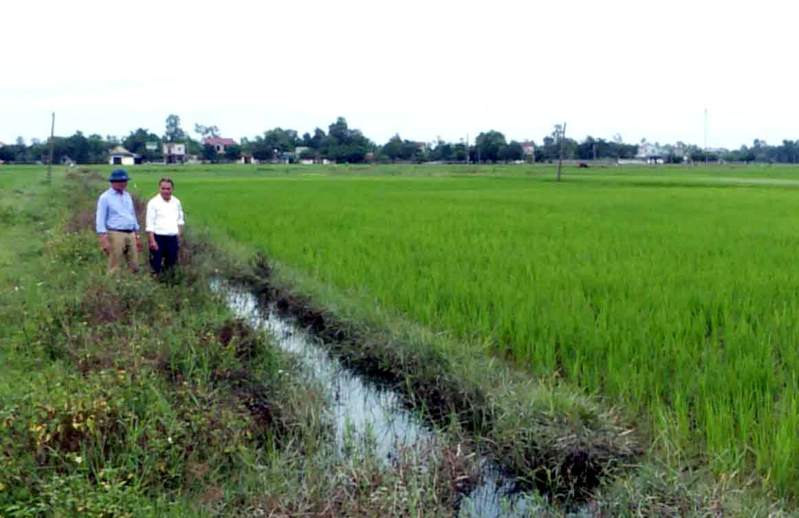 Kênh mương đất tại xã Nghi Thịnh, huyện Nghi Lộc. Ảnh: Phú Hương