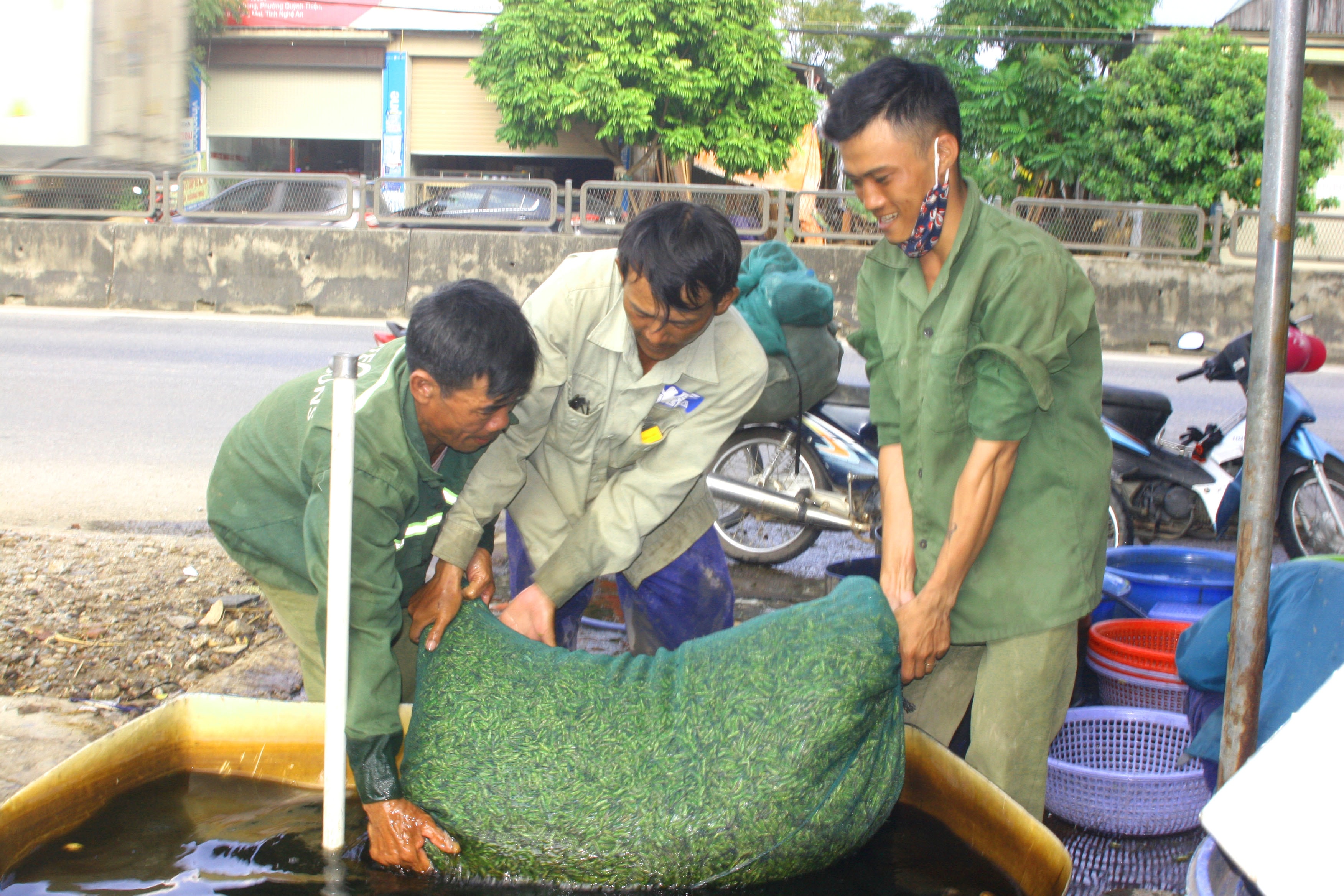 Vui mừng đánh được hơn 50 kg tôm bay ở cánh đồng lúa Diễn Châu, ông Nguyễn Văn Hưng ở xã Quỳnh Trang (T.x Hoàng Mai) cho biết: “ Sau khi tôm bay đã đầy bao, chúng tôi trở về nhập cho thương lái. Do gần cuối mùa nên giá thu mua 7.000 đồng/kg, tính ra chúng tôi được 3,5 triệu đồng, chia cho 4 người thì mỗi người được gần  1 triệu”. Ảnh: Việt Hùng