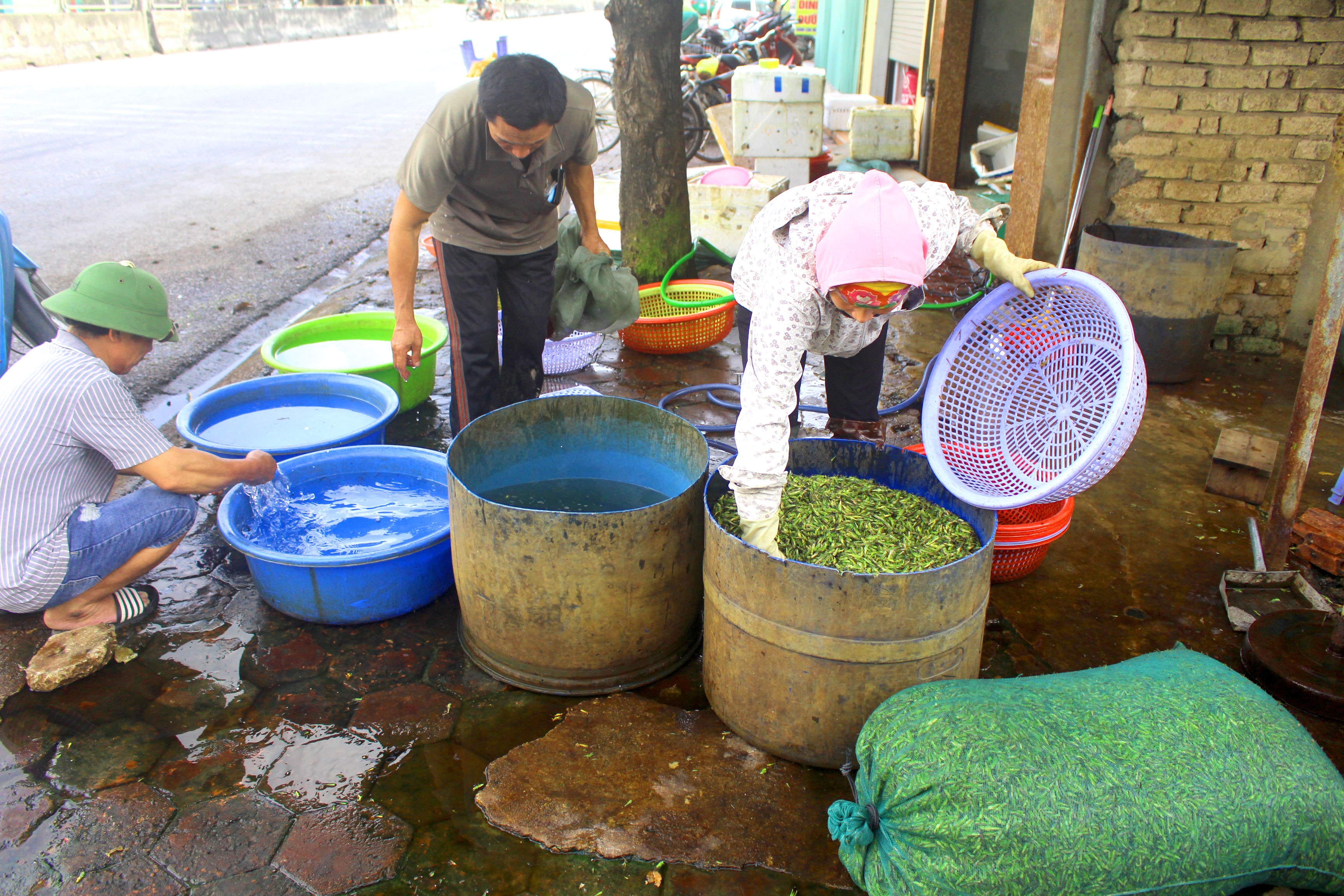 Hiện nay, nghề săn bắt tôm bay chủ yếu được một số bà con ở xã Quỳnh Trang (T.x Hoàng Mai), xã Quỳnh Thanh (Quỳnh Lưu)... duy trì với gần 100 người. Sau mỗi ngày đánh bắt, người dân thu về hàng tấn tôm bay (đây là loại côn trùng chuyên phá hoại hoa màu). Ảnh: Việt Hùng