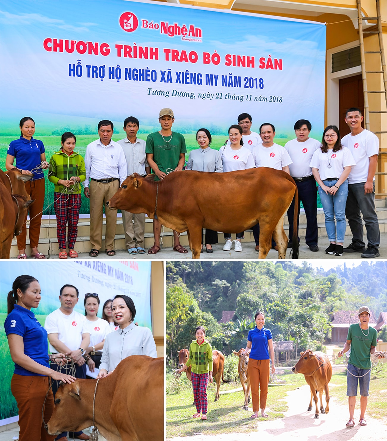 Lãnh đạo Báo Nghệ An trao tặng bò sinh sản cho người nghèo xã Xiêng My (Tương Dương). Ảnh tư liệu