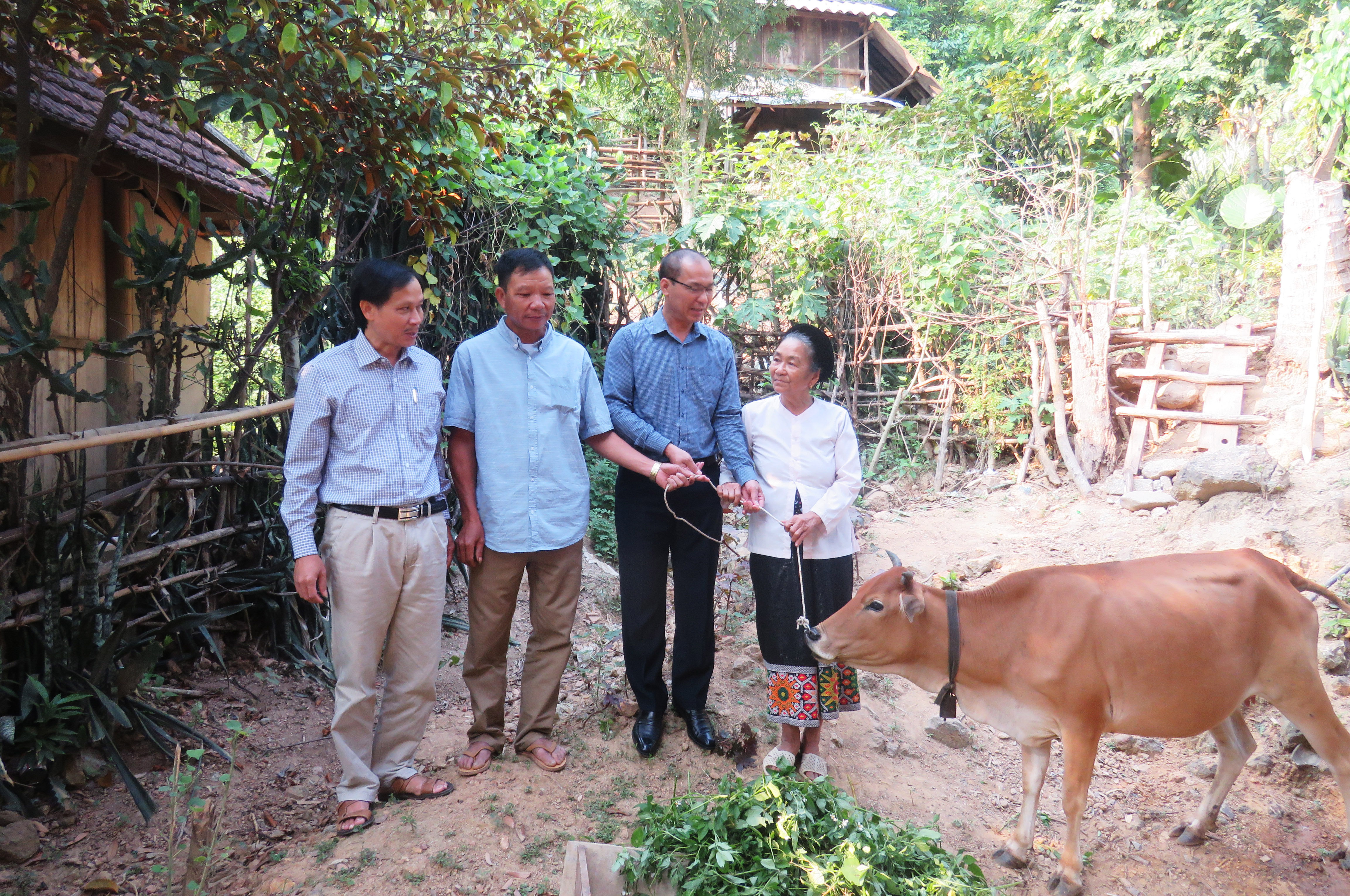 Bí thư Huyện ủy Kỳ Sơn Vi Hòe (thứ hai bên phải) trao bò giống hỗ trợ gia đình bà Lương Thị Xai. Ảnh: Duy Thành