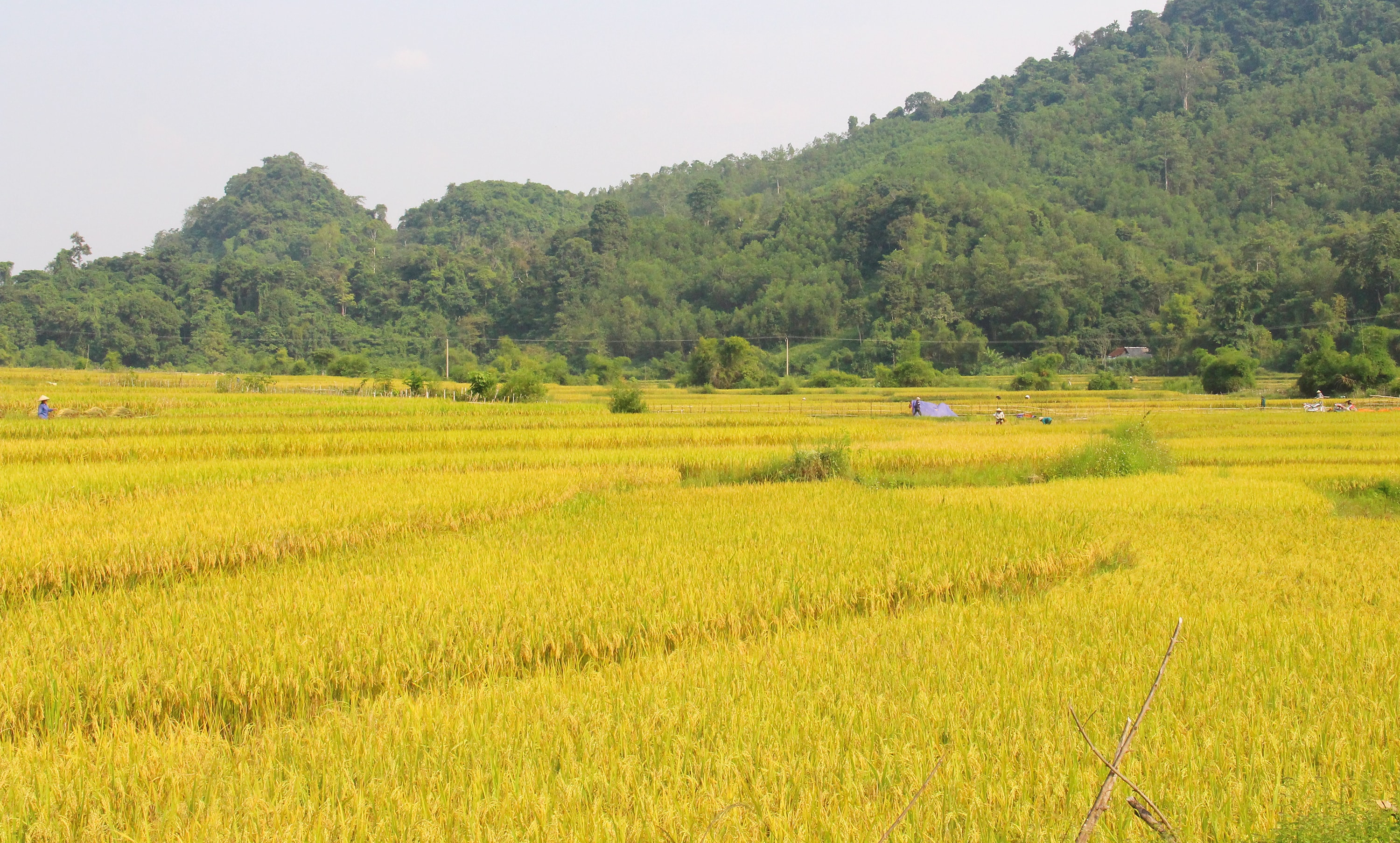 Xã Châu Lộc