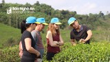 Chương trình OCOP: 'Bà đỡ' cho sản phẩm nông thôn tiêu biểu Nghệ An