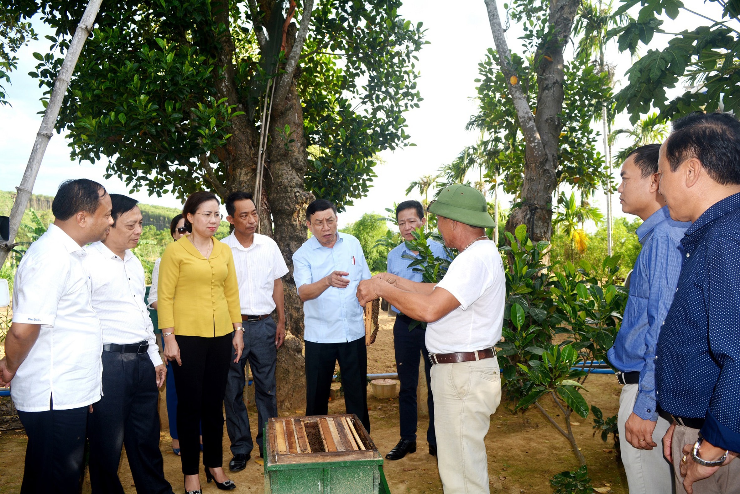 Trung ương Hội Nông dân thăm mô hình kinh tế giỏi xóm Tân Sơn, Quang Thành (Yên Thành). Ảnh: Thanh Phúc