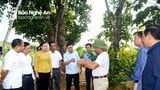 Nghệ An: Khi nông dân là chủ thể xây dựng Nông thôn mới 