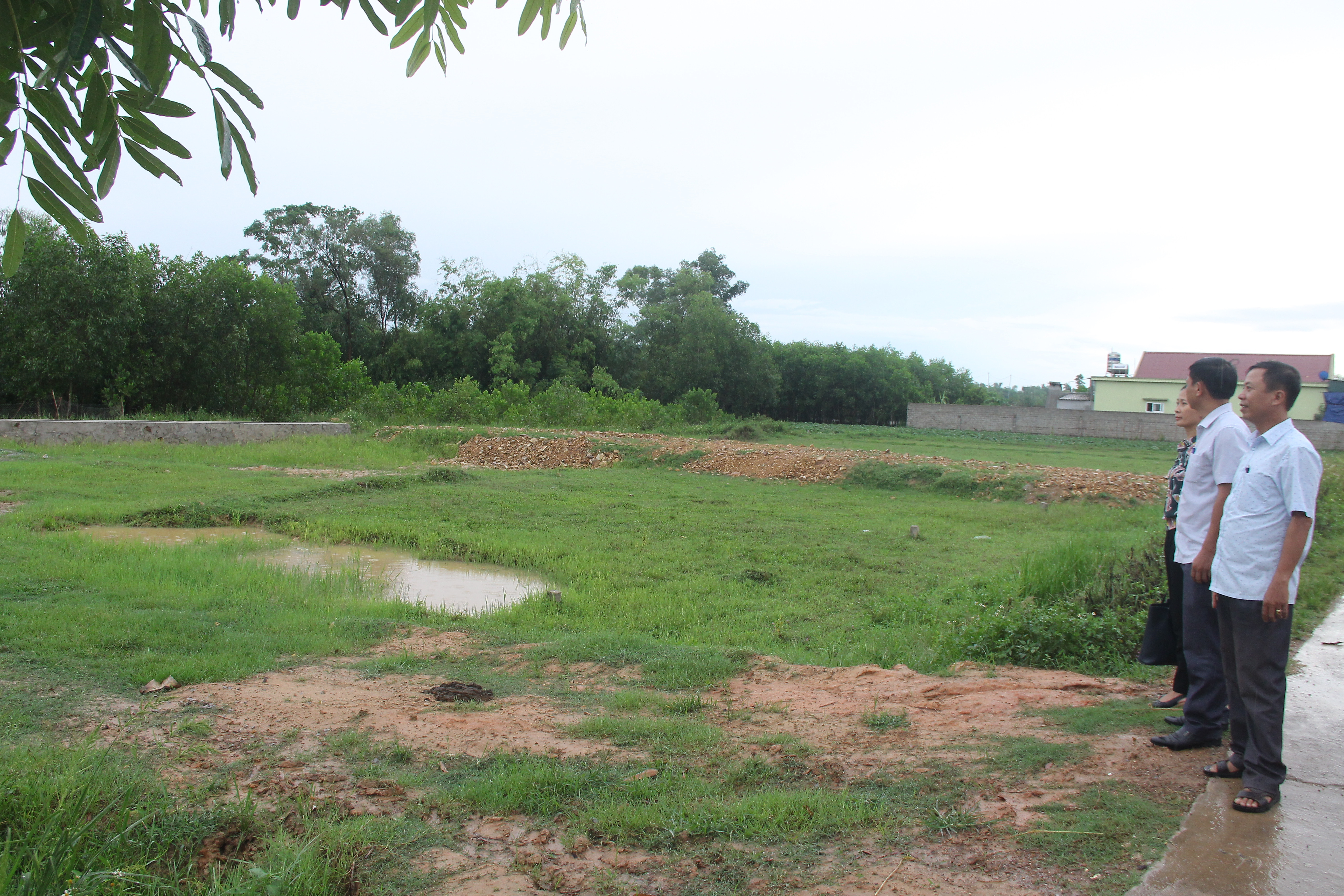 Vùng quy hoạch đấu giá đất ở tại xã Phúc Thành, huyện Yên Thành. Ảnh: Mai Hoa