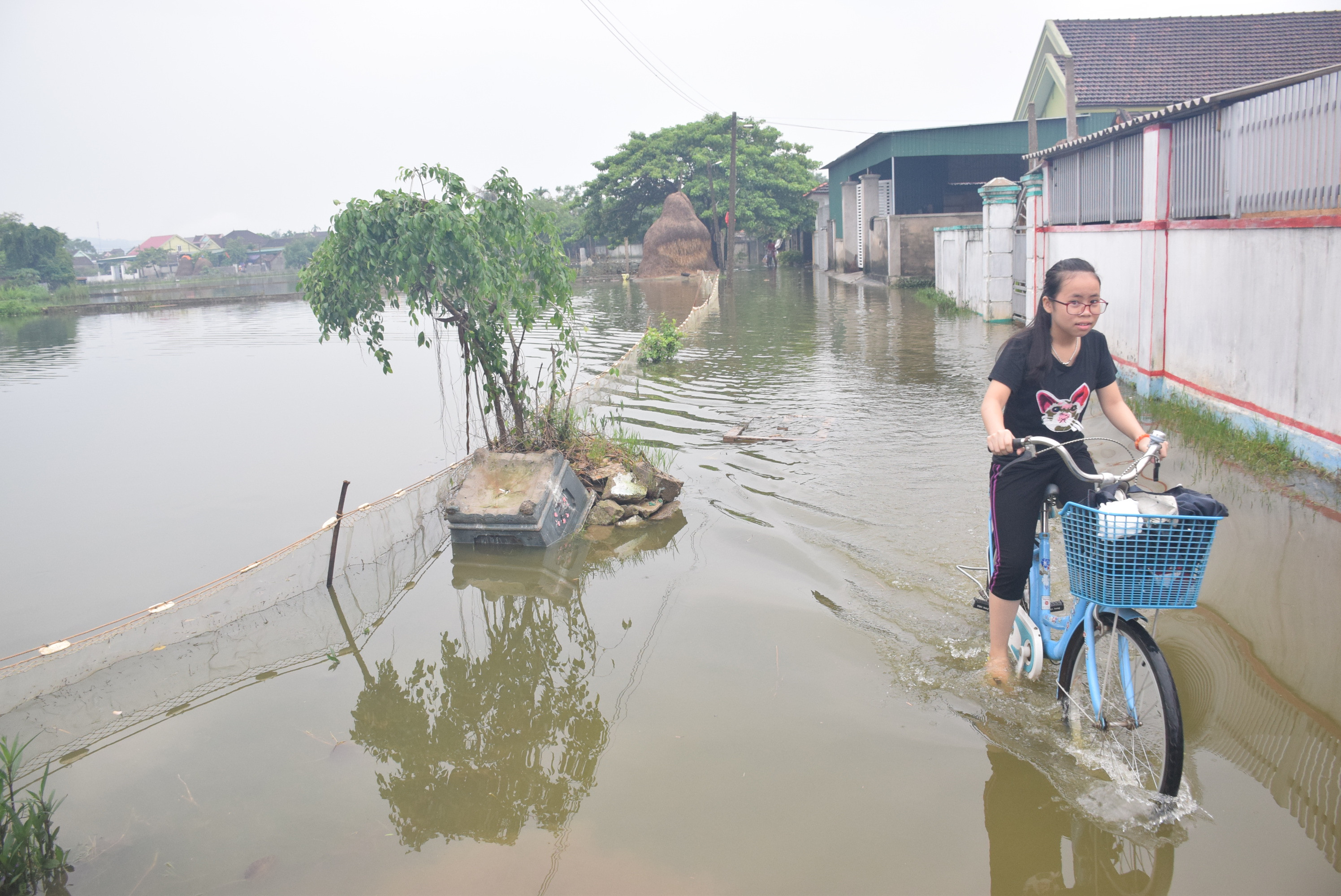 Vùng nuôi cá ao của xã Xuân Hòa (Nam Đàn) thường ngập nước mỗi khi có mưa to. Ảnh: Xuân Hoàng