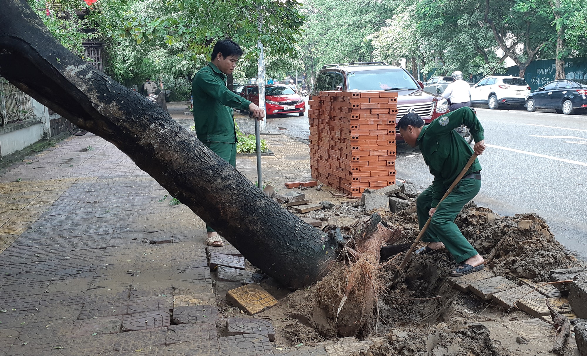 Thành phố Vinh đã tổ chức lực lượng khắc phục hậu quả cây đổ. Ảnh: Lâm Tùng