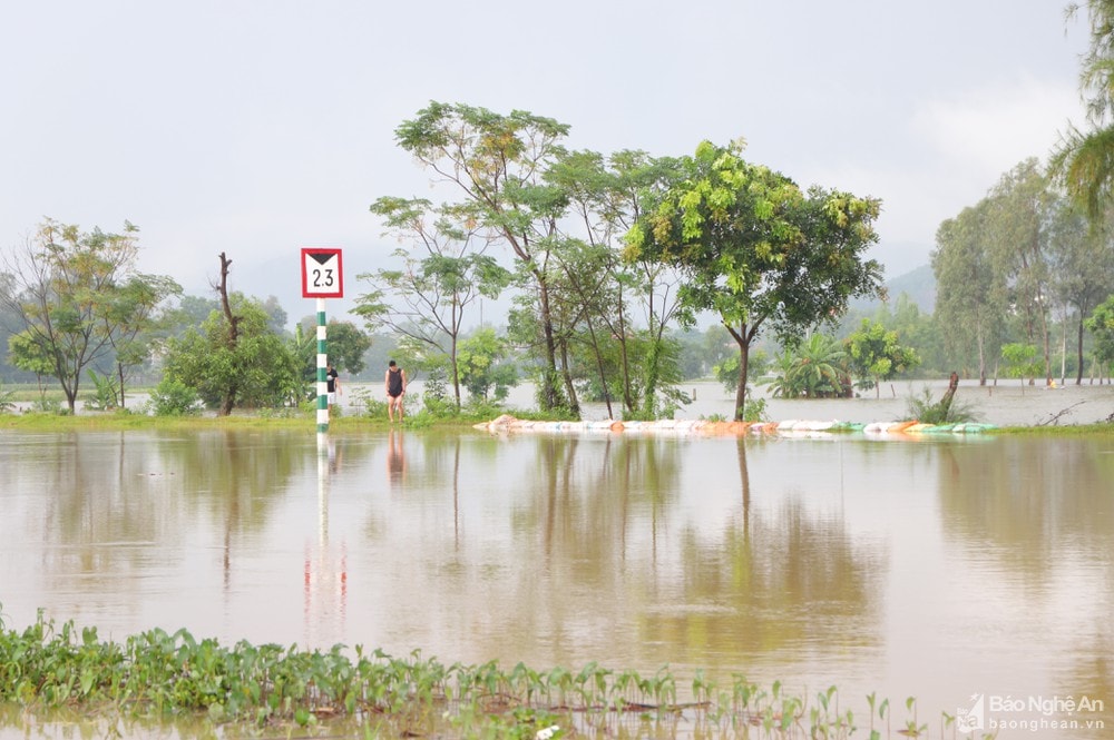 Mưa lớn gây ngập ở xã Hưng Đạo, huyện Hưng Nguyên ngày 16/10. Ảnh tư liệu Thành Duy