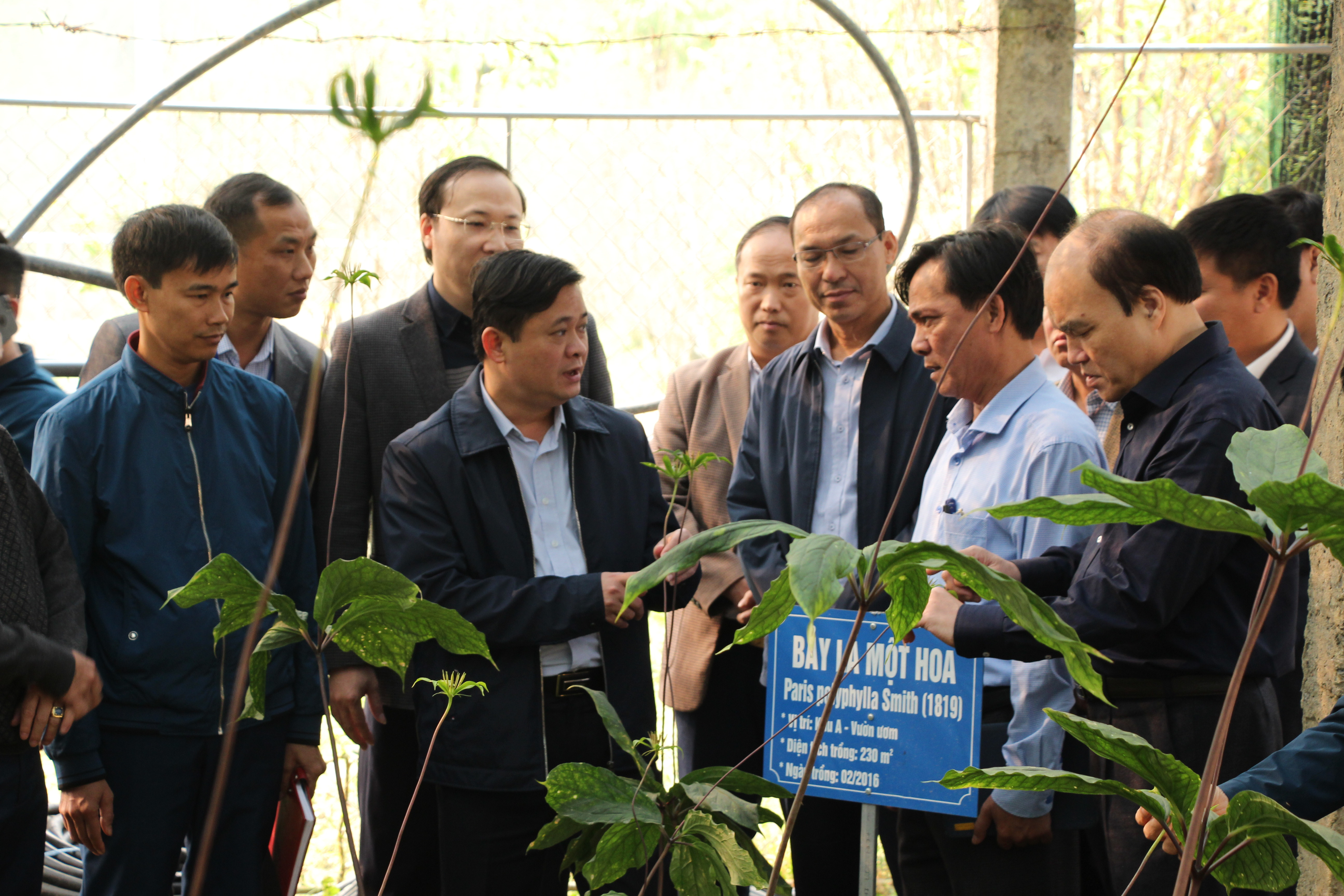 Lãnh đạo Sở KH&CN tỉnh trao đổi với Chủ tịch UBND tỉnh Thái Thanh Quý về phát triển cây dược liệu trên khu vực miền Tây Nghệ An