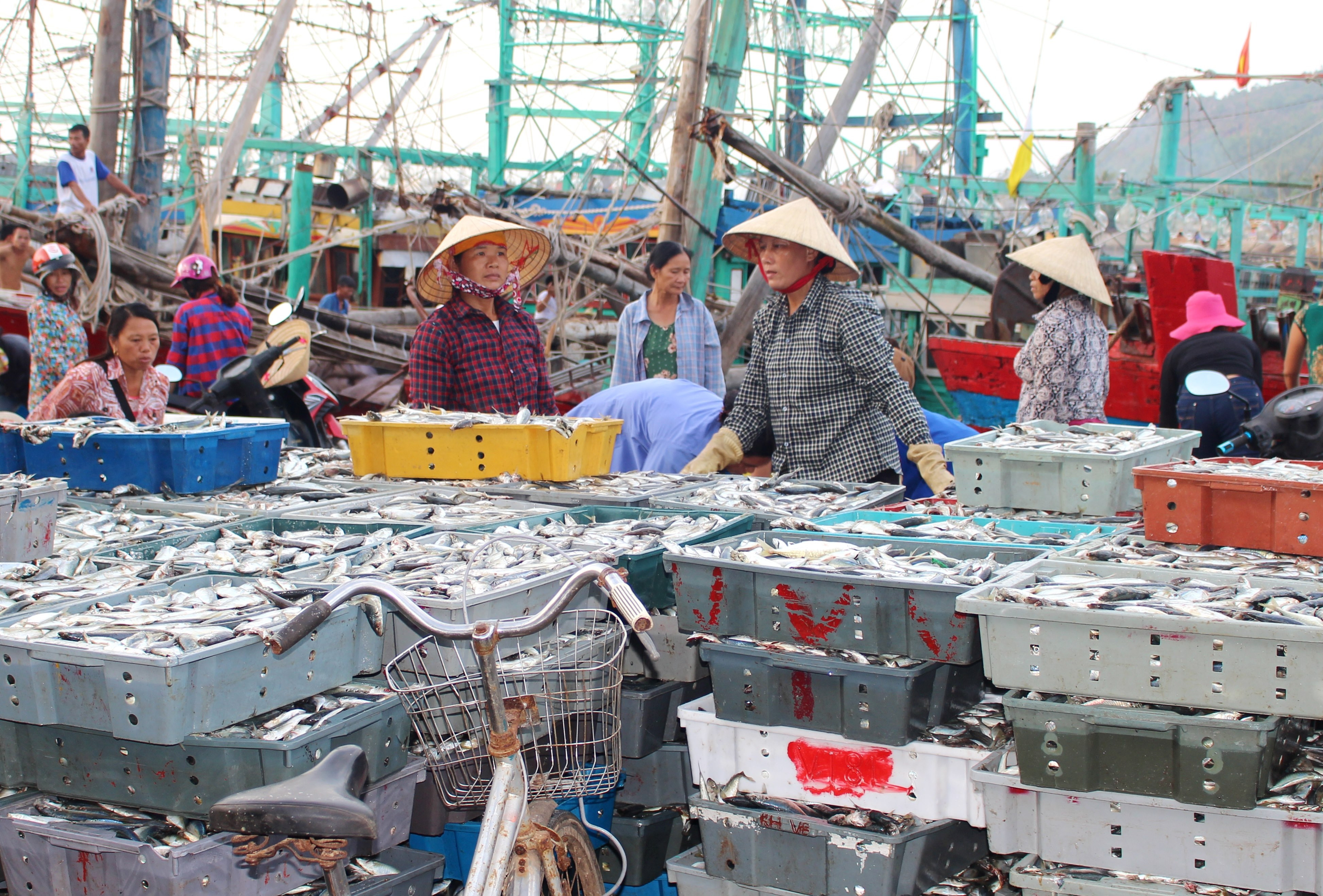 Sáng nay 26/10, hàng trăm tàu cá đánh bắt xa bờ của ngư dân Quỳnh Lưu đã về bờ cập cảng Lạch Quèn. Ảnh: Việt Hùng