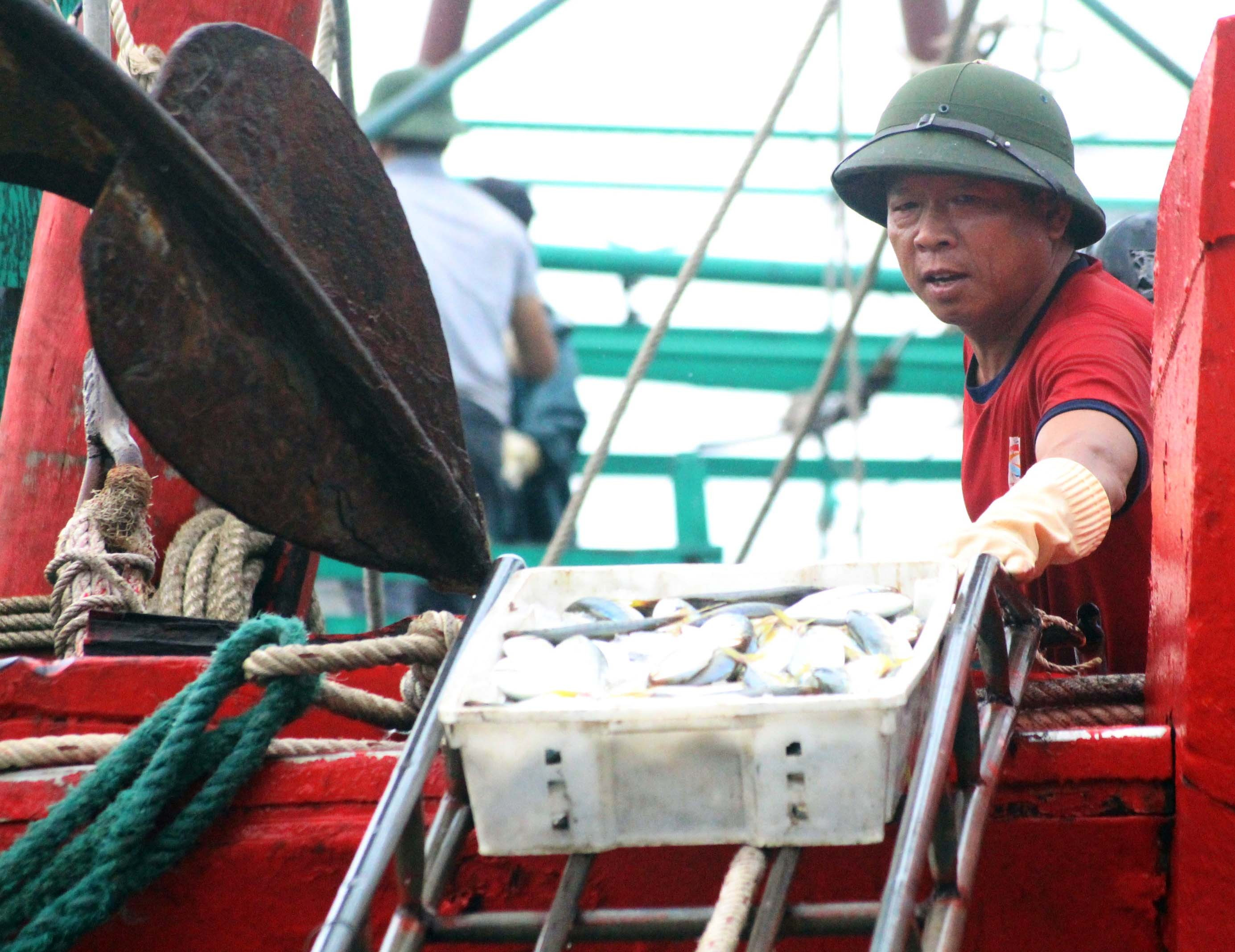 Những ngày gần đây, nhiều tàu cá của ngư dân Quỳnh Lưu liên tiếp về bờ cập cảng xuất bán hải sản. Ảnh: Việt Hùng