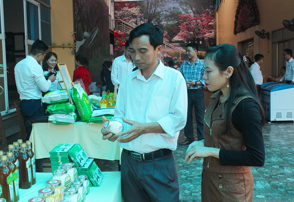 Đại biểu tham quan các gian hàng trưng bày sản phẩm của các đơn vị sản xuất trên địa bàn tỉnh Nghệ An. Ảnh: Phú Hương