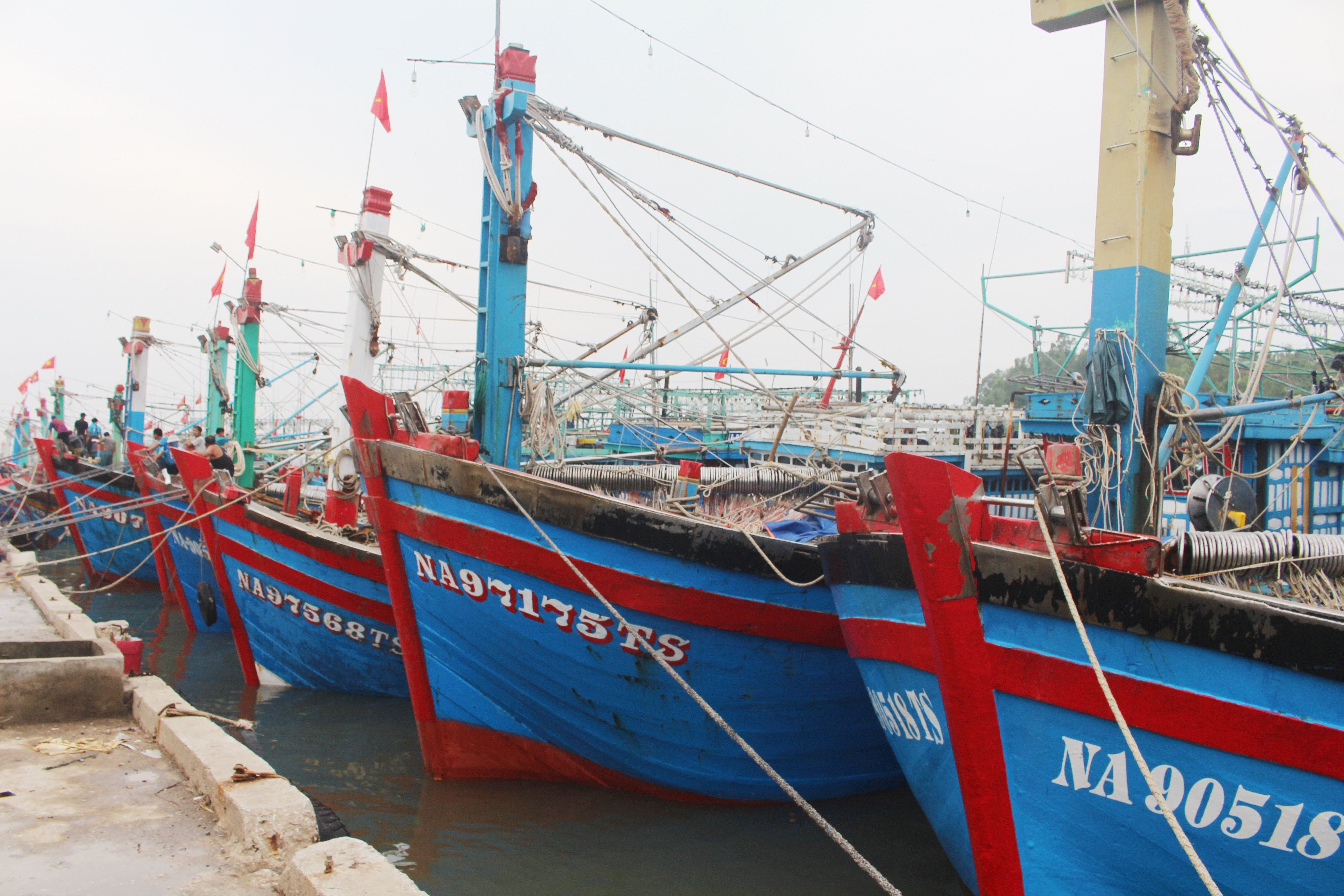 Hơn 2.000 phương tiện tàu cá của ngư dân Quỳnh Lưu và thị xã Hoàng Mai đã về bờ neo đậu an toàn.Hơn 2.000 phương tiện tàu cá của ngư dân Quỳnh Lưu và thị xã Hoàng Mai đã về bờ neo đậu an toàn.