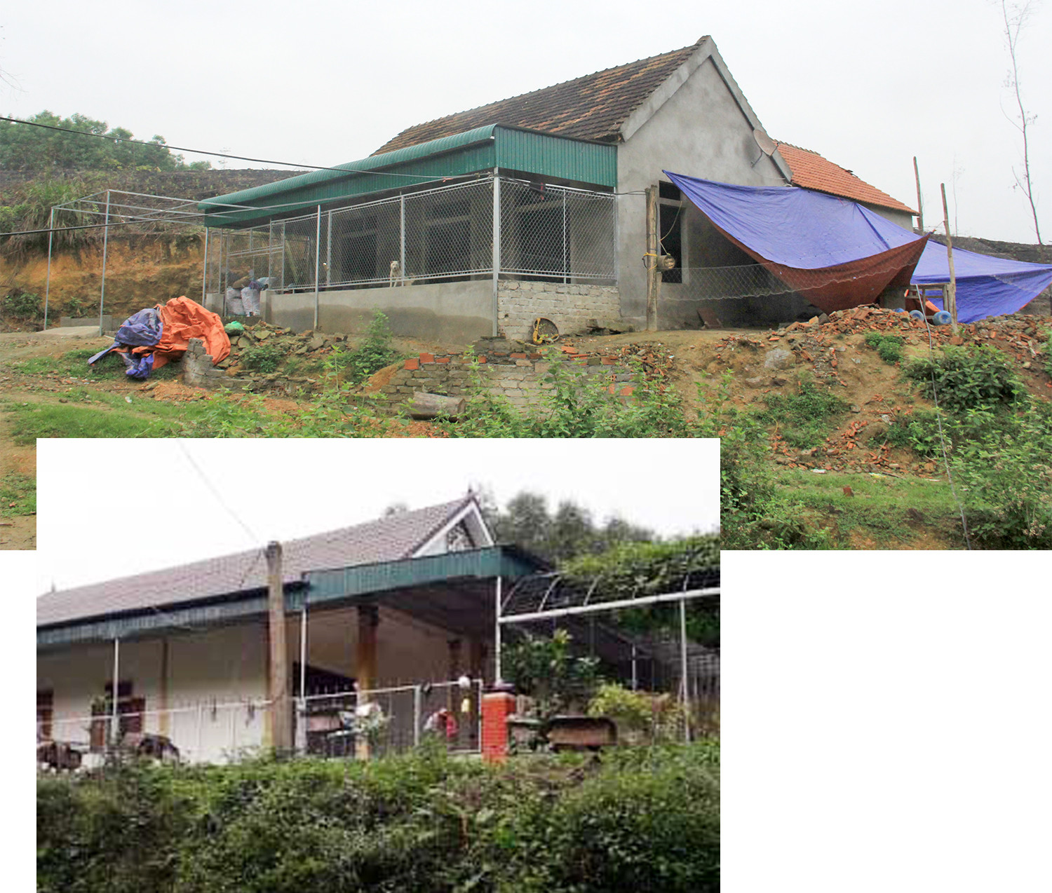 Những ngôi nhà xây dựng trái phép trên đất lâm nghiệp ở xã Thanh Hà. Ảnh: Nhật Lân