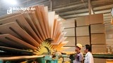Nghệ An triển khai xây dựng khu nông nghiệp ứng dụng công nghệ cao về lâm nghiệp
