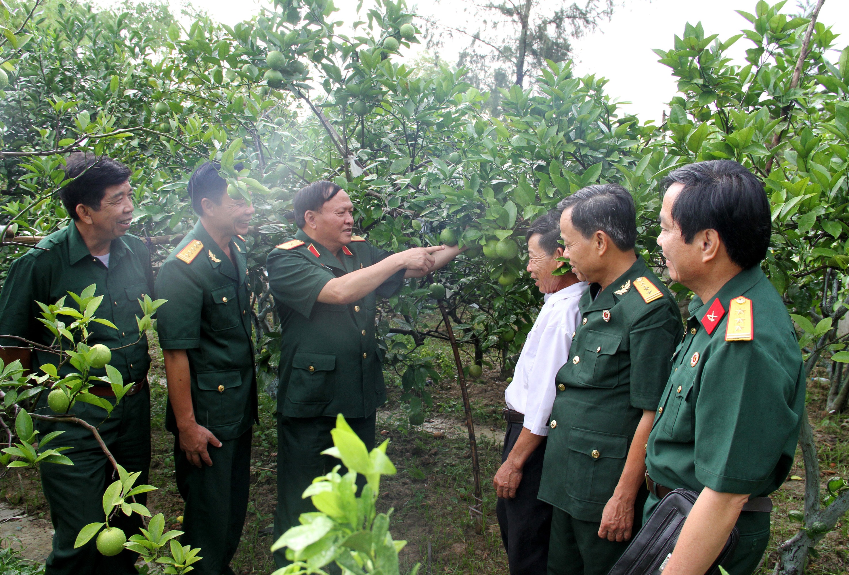 Thiếu tướng Nguyễn Đình Minh, Chủ tịch Hội Cựu chiến binh tỉnh Nghệ An tham quan mô hình trồng cam xã Đoài cho thu nhập cao ở xã Nghi Diên, huyện Nghi Lộc