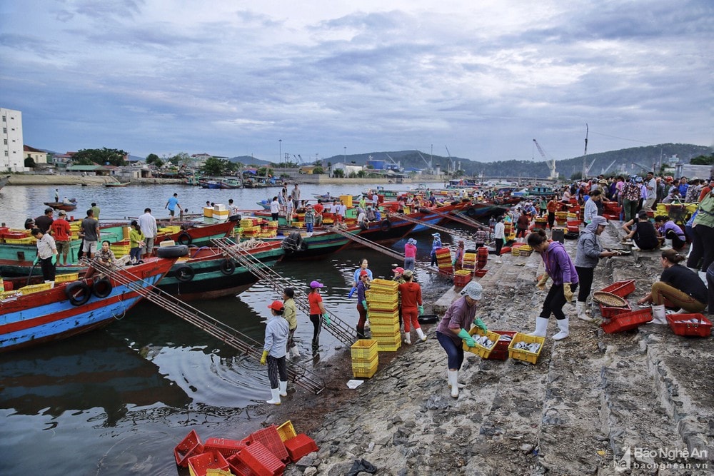 Phường Nghi Thủy có gần 170 tàu thuyền, trong đó 52 chiếc đánh bắt xa bờ, 4 tàu có công suất 800 CV trở lên, còn lại từ 350-600 CV