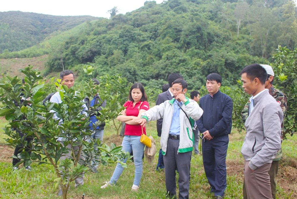 Các đại biểu chia sẻ, học tập kinh nghiệm vận hành hệ thống tưới tiết kiệm. Ảnh: Phú Hương