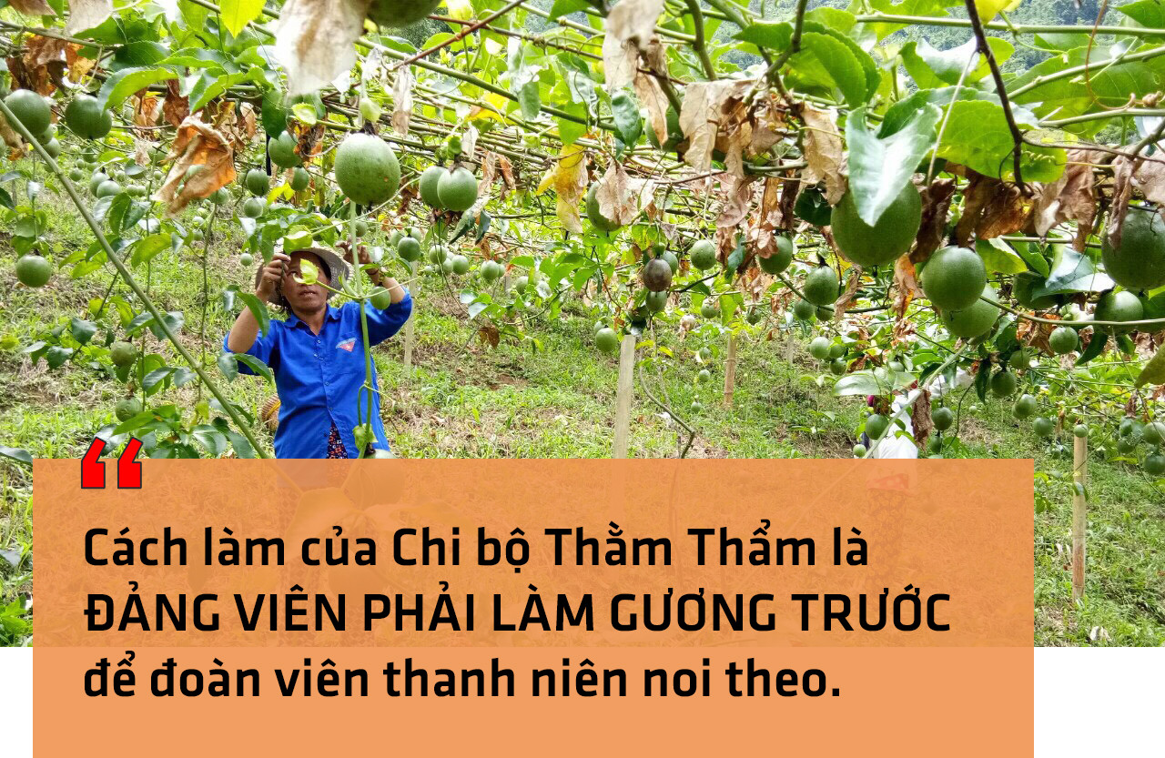 Người dân xã Nhôn Mai, Tương Dương thu hoạch chanh leo.