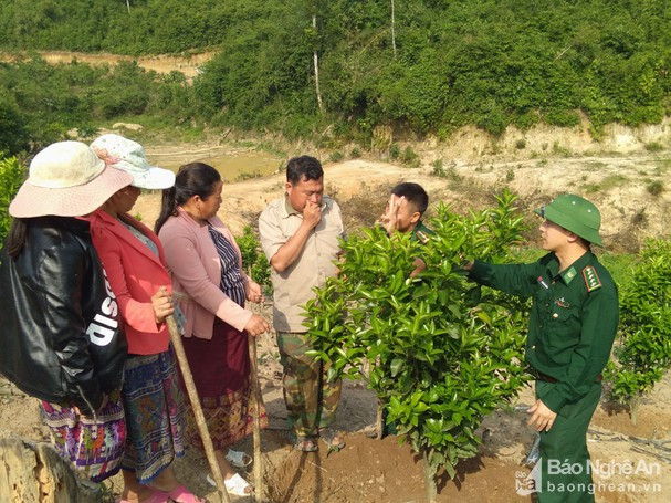 Đồn biên phòng Thông Thụ hướng dẫn người dân bản Nậm Táy (Lào) trồng cam. Ảnh tư liệu: PV